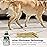 Bissell PET PRO OXY Spot & Stain Formula for Portable Carpet Cleaners, 32 oz., 2034