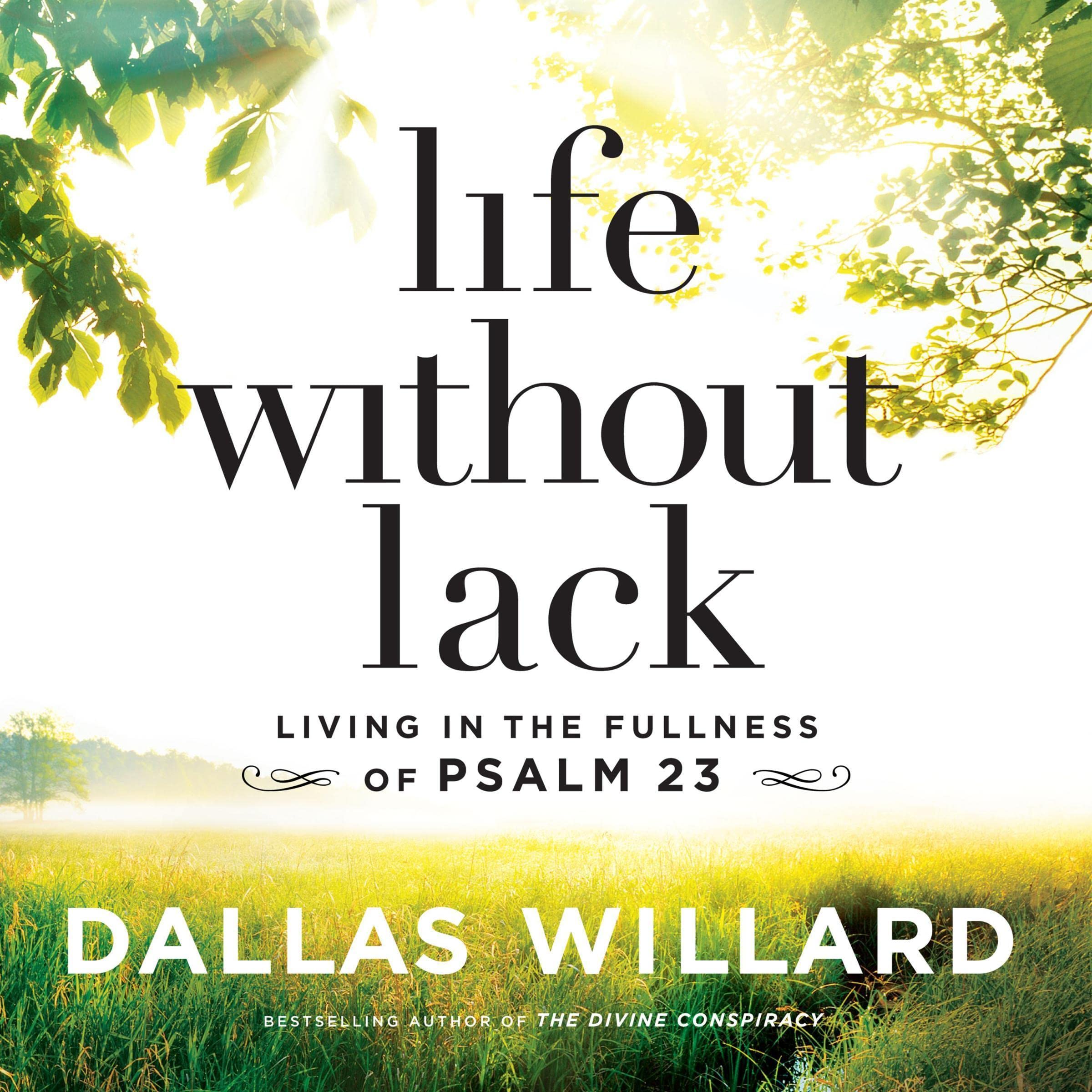 Cover art for Life Without Lack