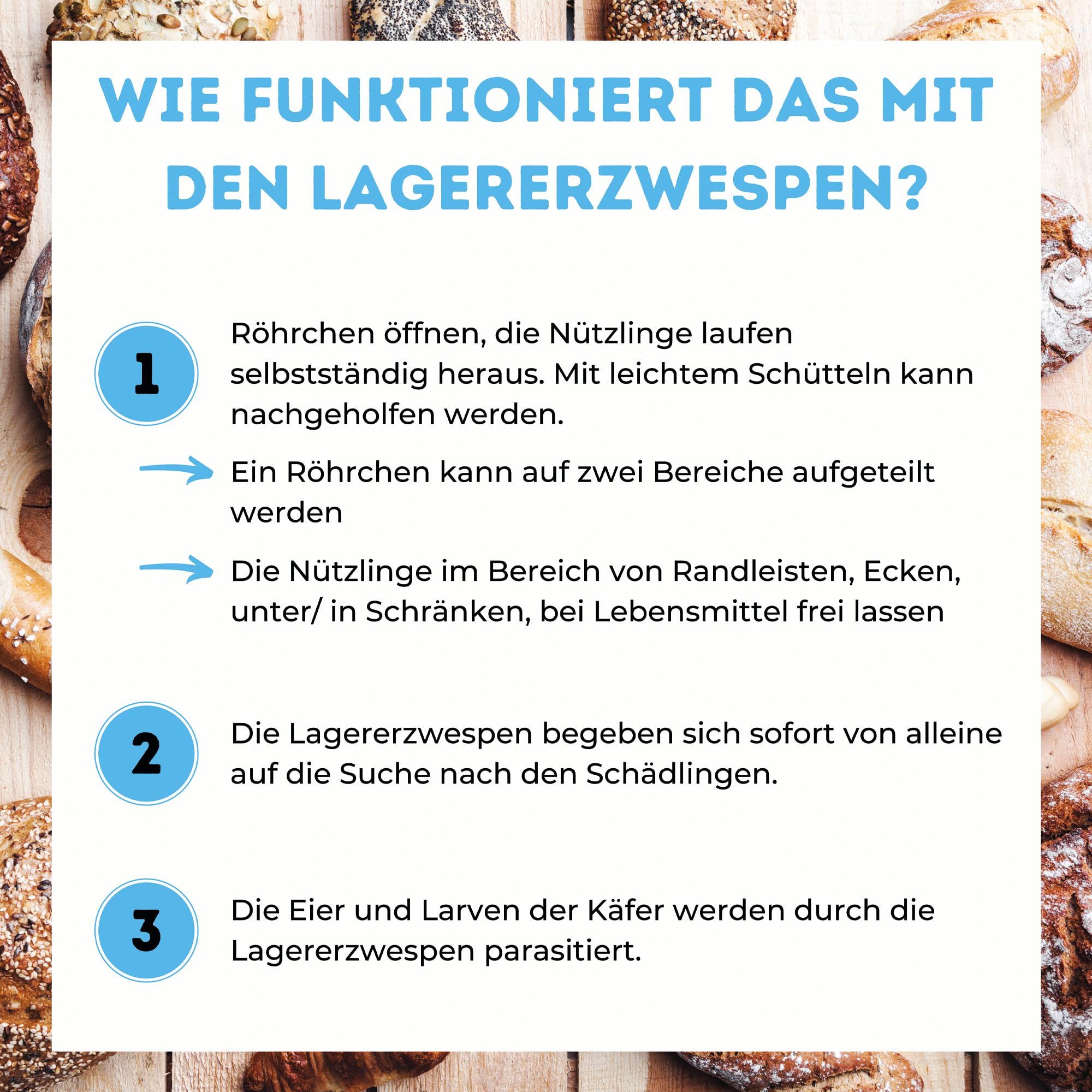 Lagererzwespen gegen Brotkäfer & Co. – für ca. 15 m² – 100% Chemiefrei – für warme und kühle Temperaturen – Alternative zu Brotkäferfalle – Made in Germany (40 Nützlinge)