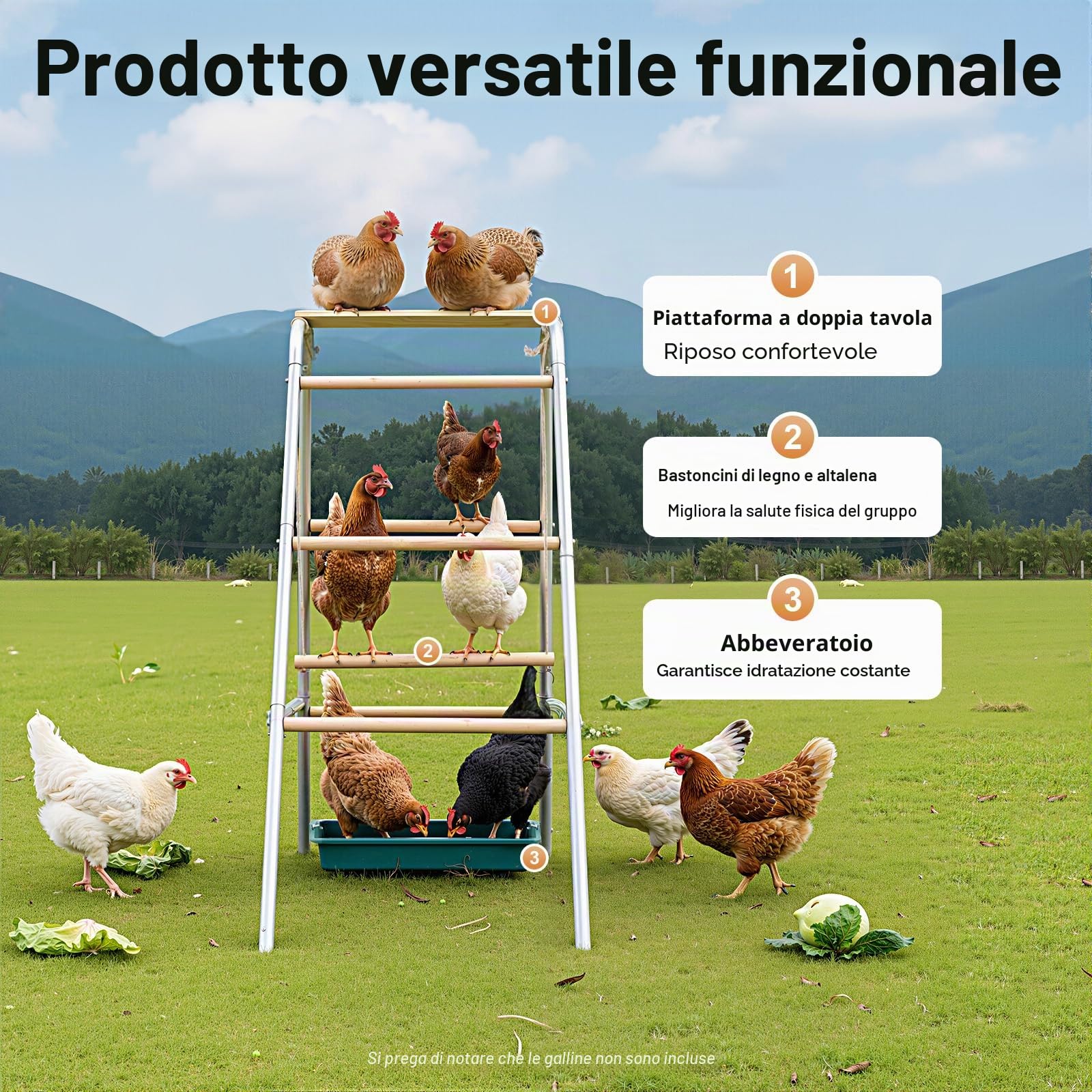 110 x 49 x 100 cm, posatoio per polli, in legno di eucalipto, a 4 livelli, con tromba, giocattolo per polli e galline