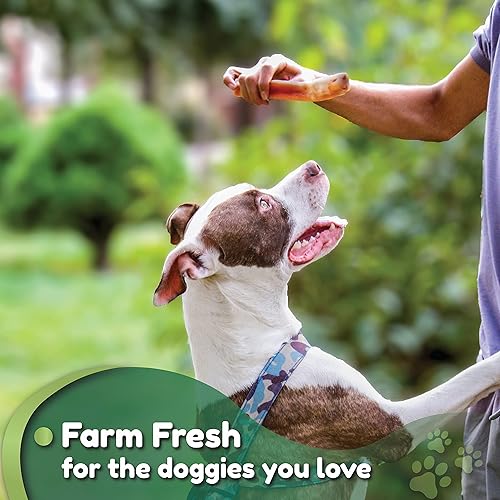 Miniatura 6 de Palitos de carne de res europea prémium de 6 pulgadas para perros, 100% huesos de matón extra magros, sin piel cruda y sin olor, para cachorros y