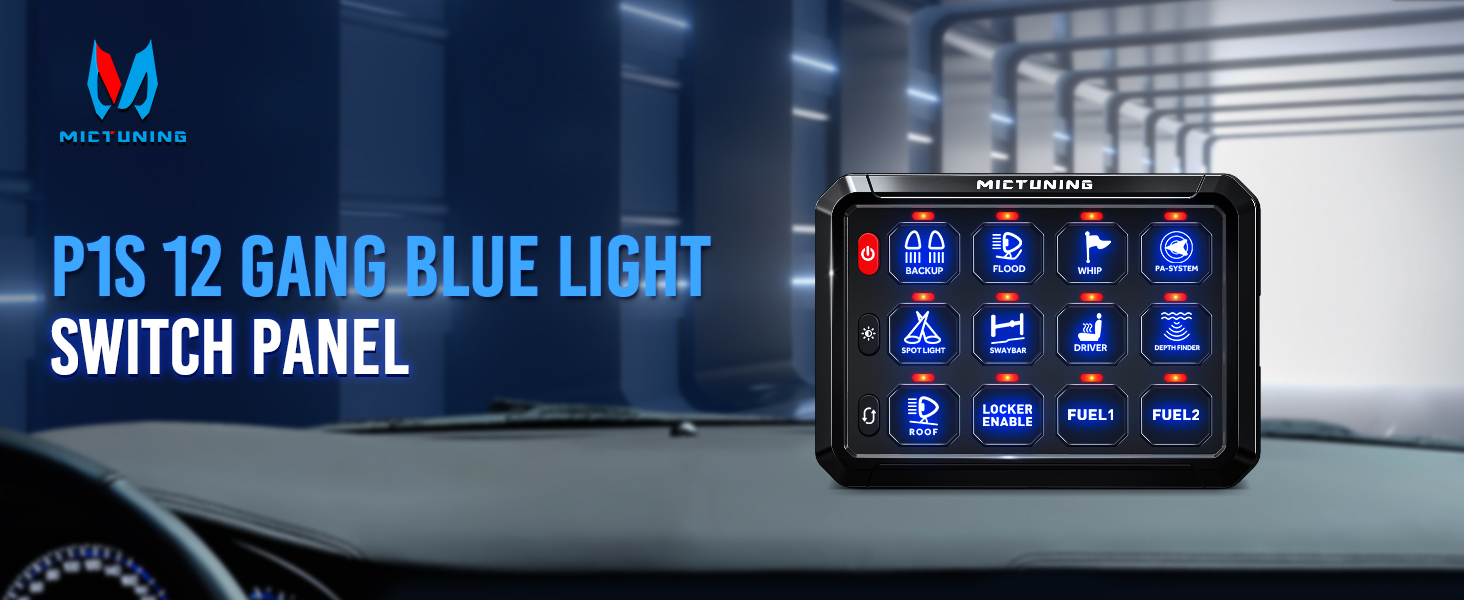 Amazon.com: MICTUNING P1S-B12 Blue12 Gang Switch Panel 4 Control