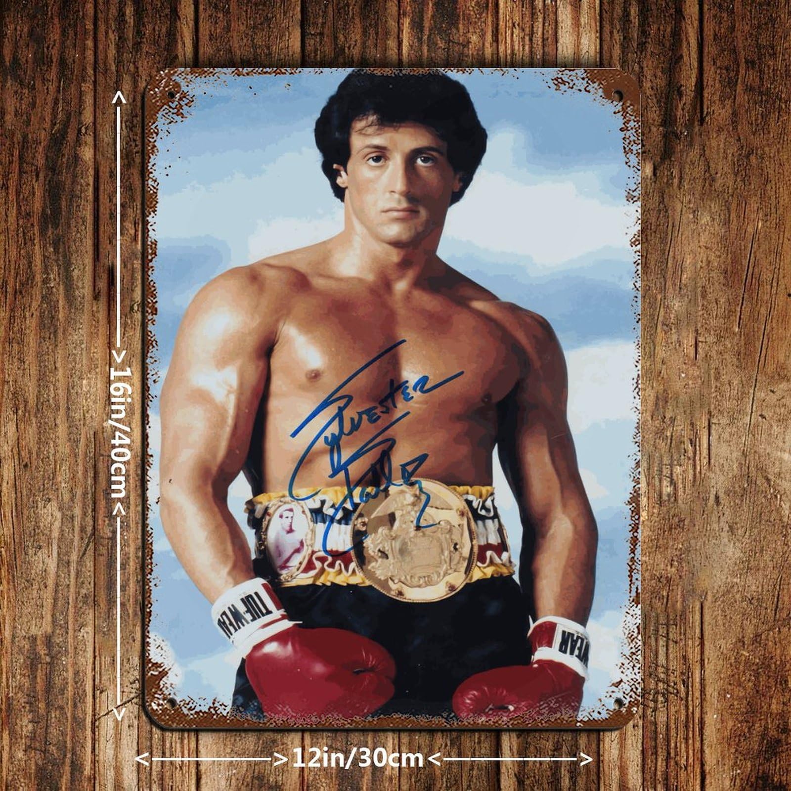 Plaque Métal Vintage Film Rocky – 30 X 20 Cm – Déco Murale – Neuve