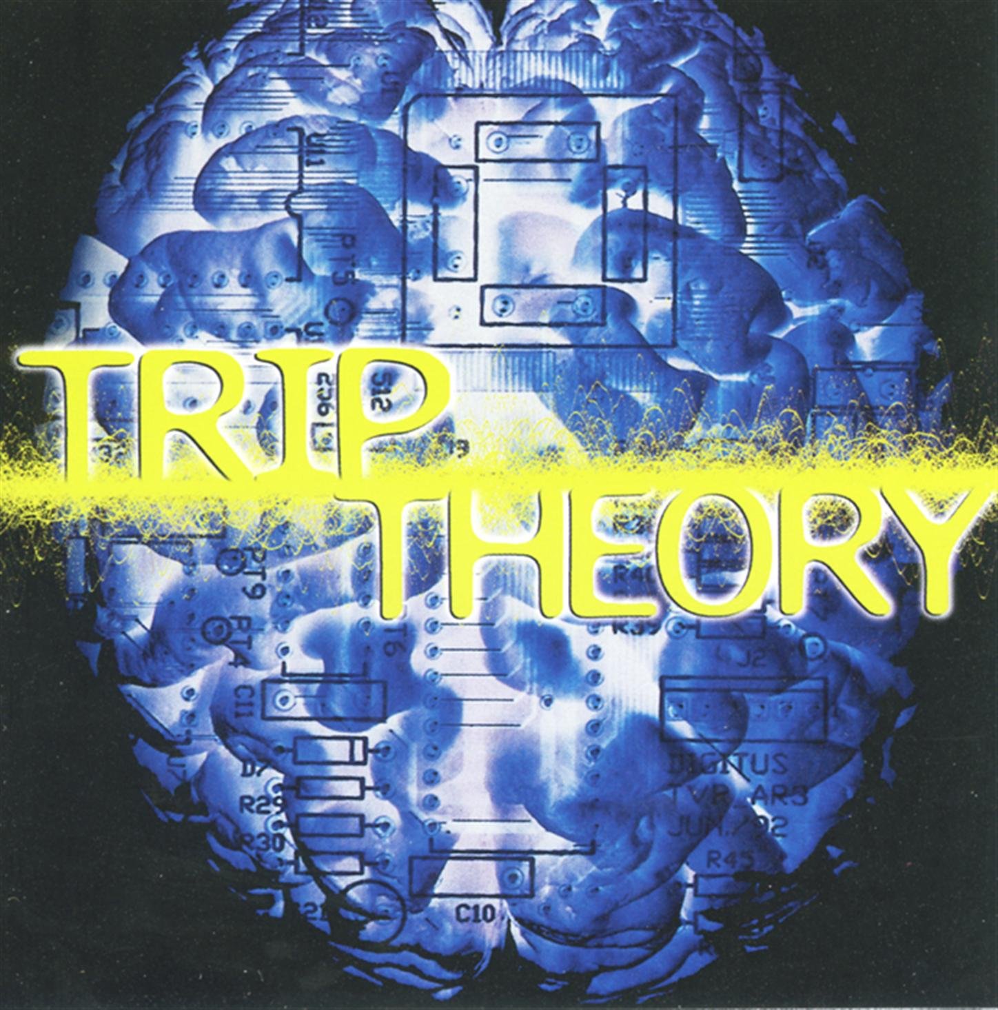Trip Theory