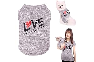 Dog and Human Matching Outfits: Love Puppy T-Shirt Set for Dog Moms and Dads