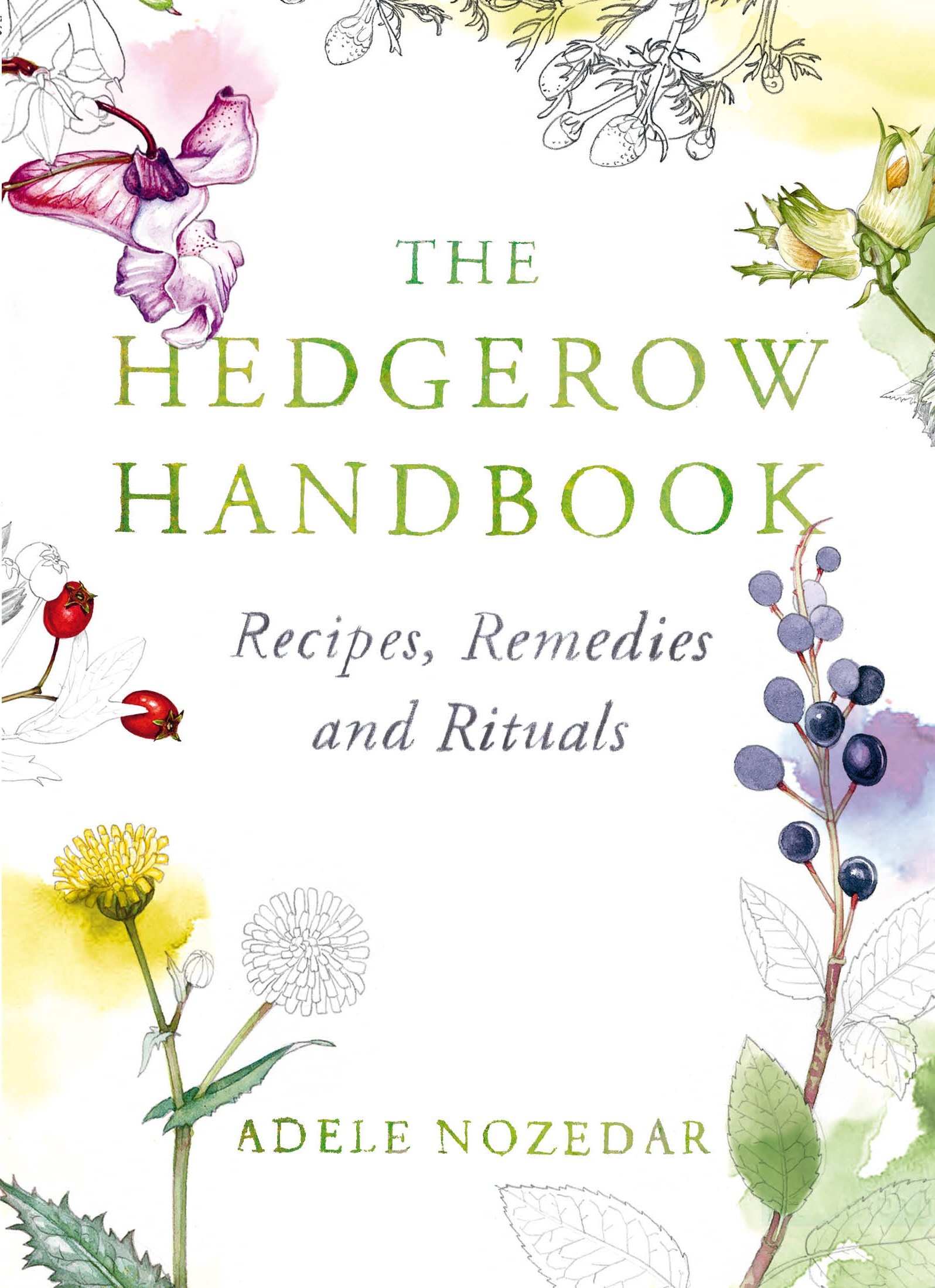 The Hedgerow Handbook: Recipes, Remedies and Rituals – THE NEW 10TH ANNIVERSARY EDITION