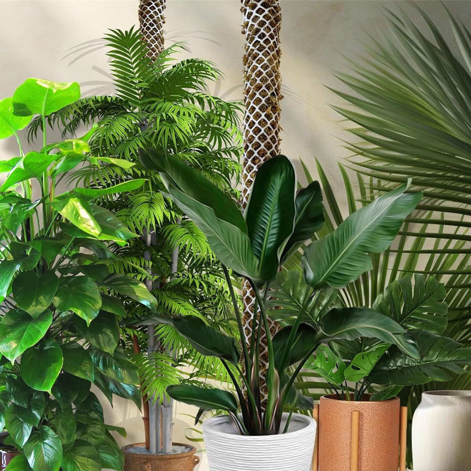 Kit de bâtons de mousse en plastique pour plantes Monstera, ruban de fixation pour plantes d'intérieur et de jardin, sphaigne en plastique