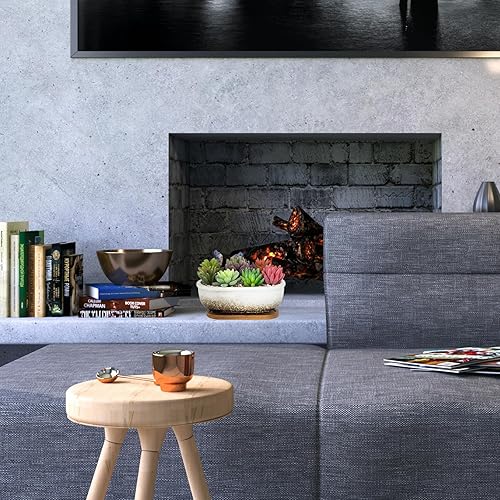 Miniatura 7 de Macetas para suculentas, macetas rectangulares de 7.9 pulgadas de largo con bandeja de drenaje, macetas poco profundas para plantas de interior,