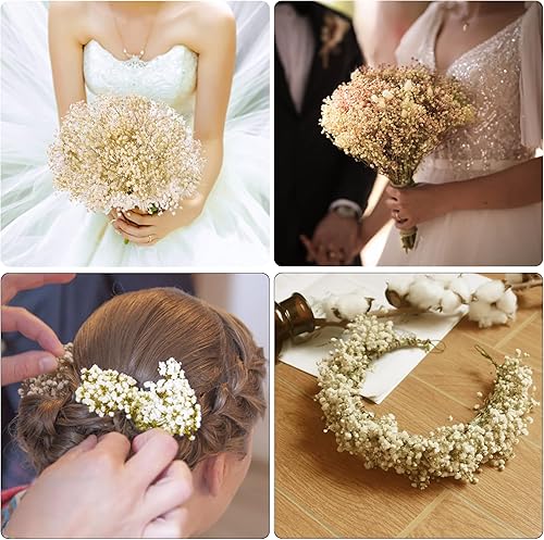 Miniatura 5 de Gipizi Ramo de flores secas de aliento de bebé, 17 pulgadas, flores secas blancas naturales a granel de aliento de bebé, más de 2500 ramas de
