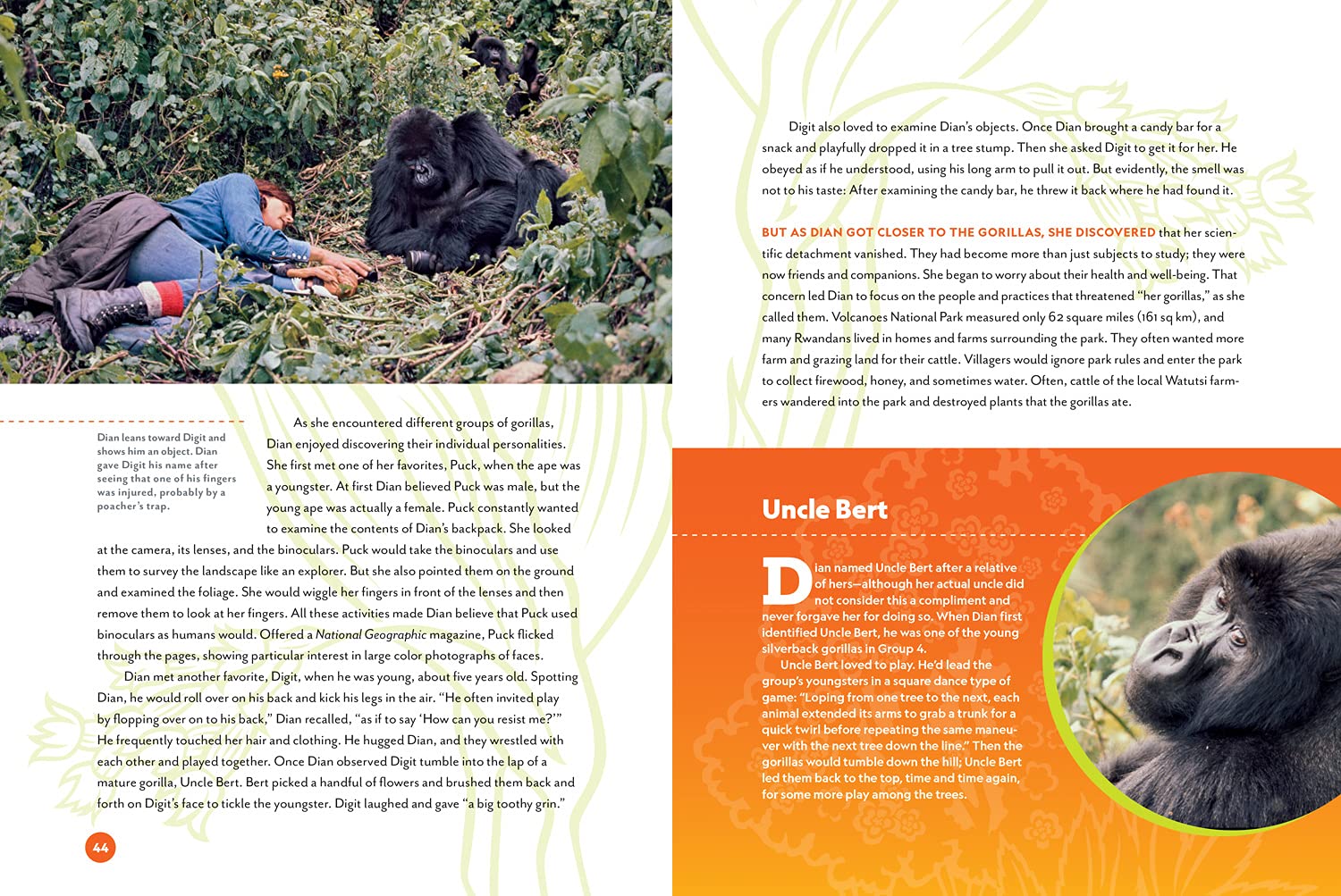 Unforgotten: The Wild Life of Dian Fossey and Her Relentless Quest to Save Mountain Gorillas