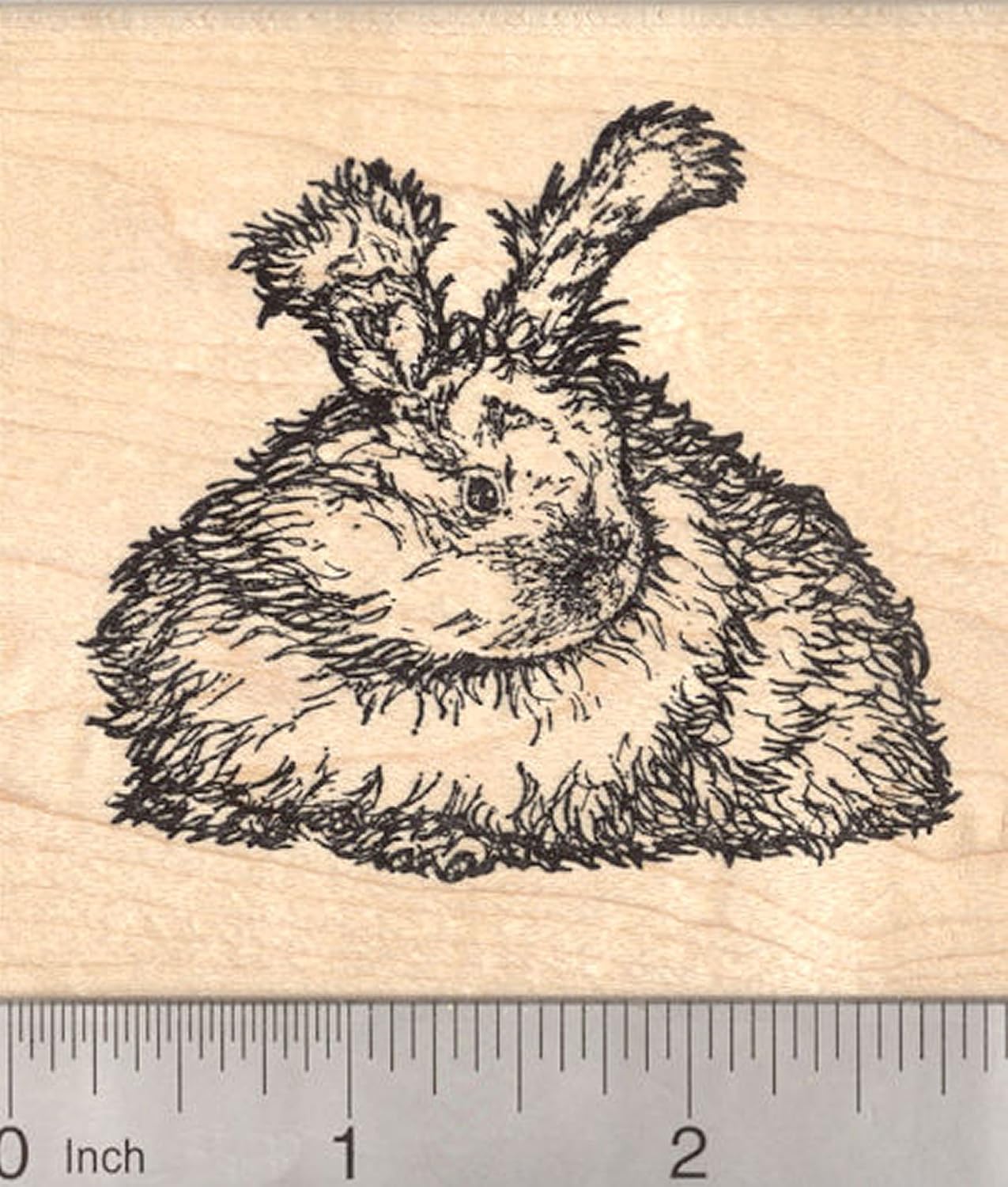 Red Ink Rabbit Stamp Amazon.com: English Angora Rabbit Rubber Stamp, Detailed Longhaired ...