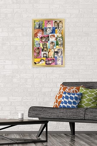 Miniatura 7 de Trends International Keith Kimberlin - Póster de pared de collage de gatitos, 22.375 x 34 pulgadas, paquete de póster y clip prémium