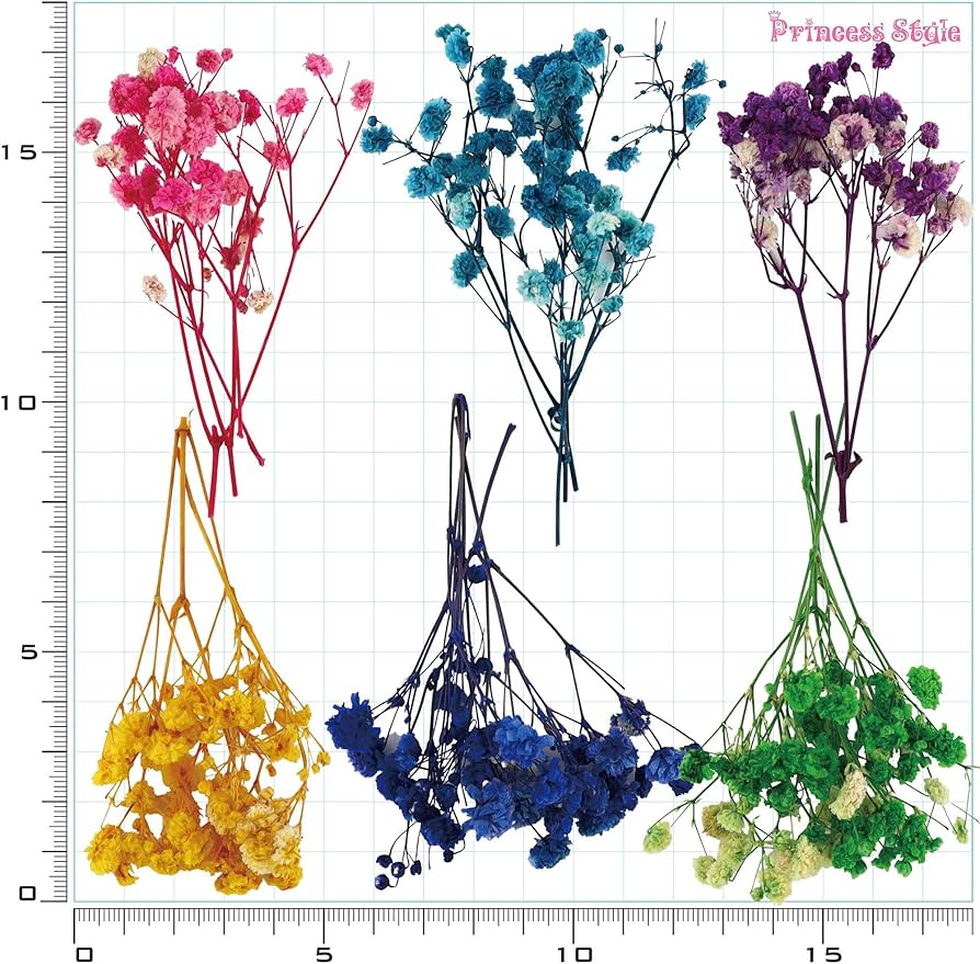 Amazon | Princess-style かすみ草 咲いた花 レジン ドライフラワー