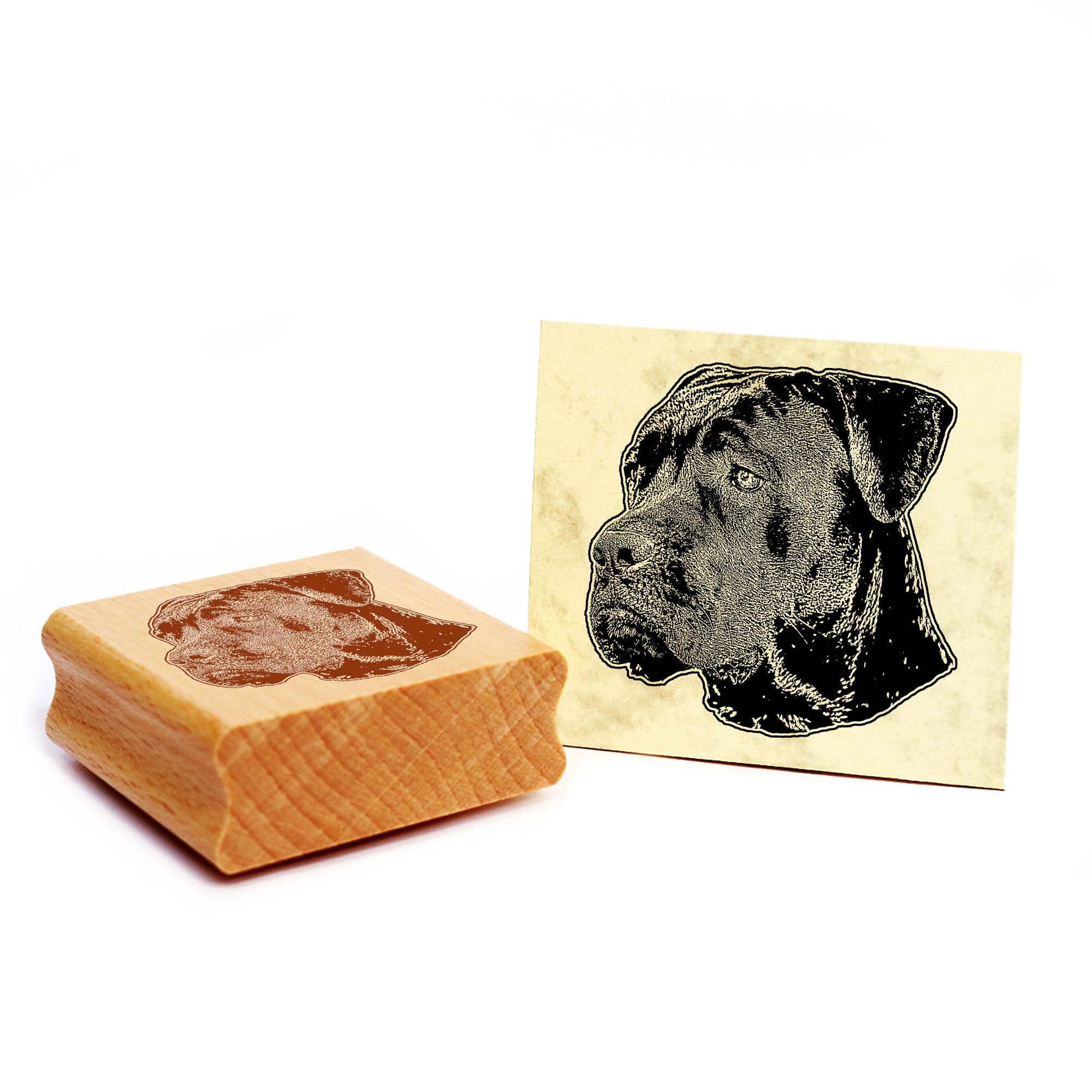 Dekolando Cane Corso Dog Wooden Stamp 49 x 48 mm — image 1