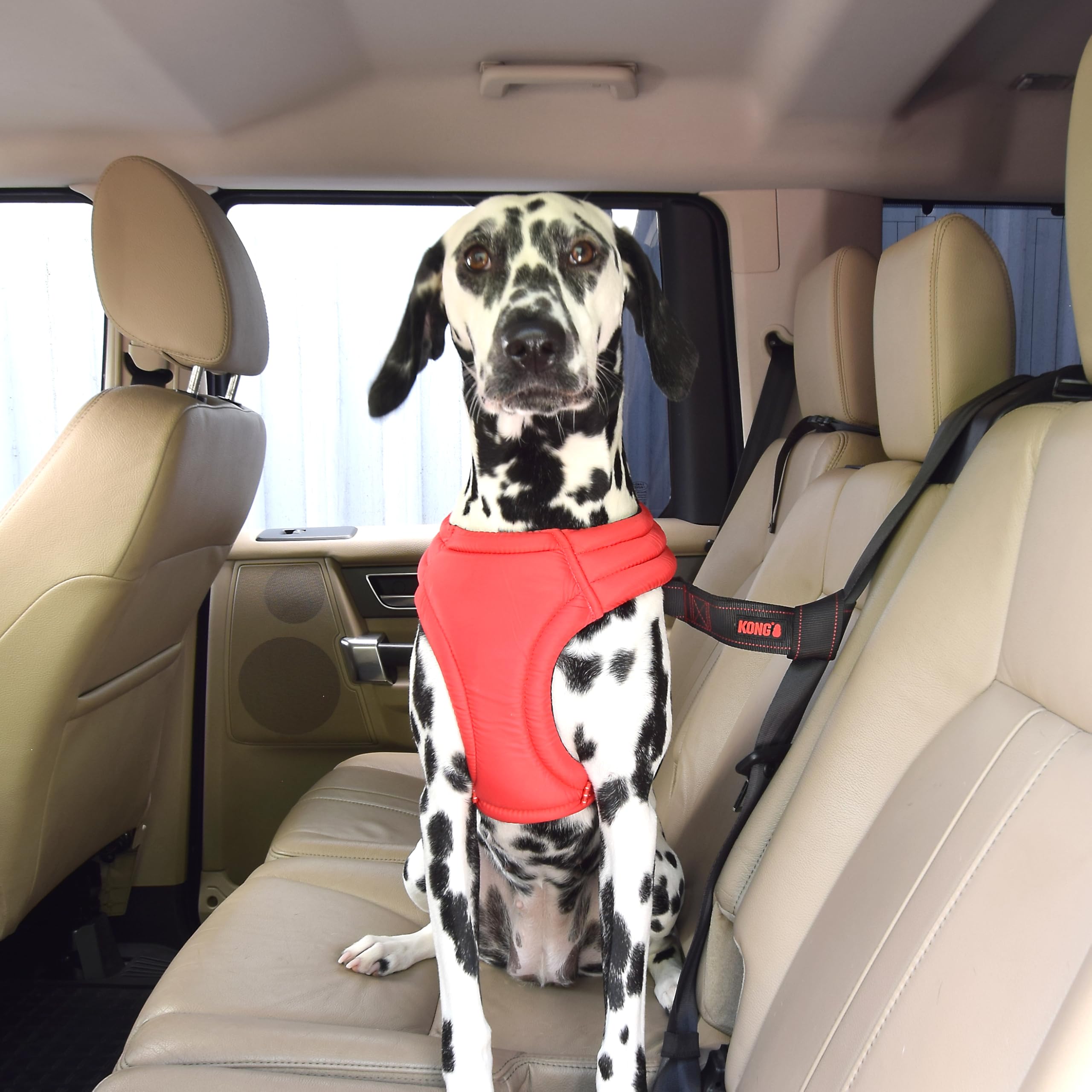 KONG Seat Belt Loop Tether