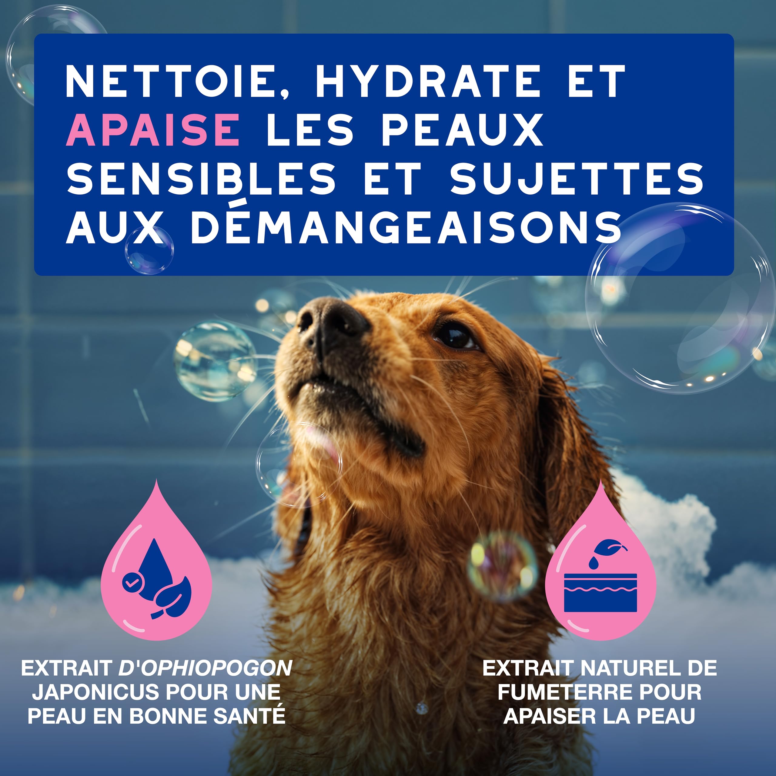 DOUXO Skin & Coat Spa - Ultra-Safe Shampoing Anti-démangeaisons pour Chien, 250mL, Nettoie et apaise la Peau, Laisse Le Pelage Doux et éclatant, Formule respectueuse de la Peau.