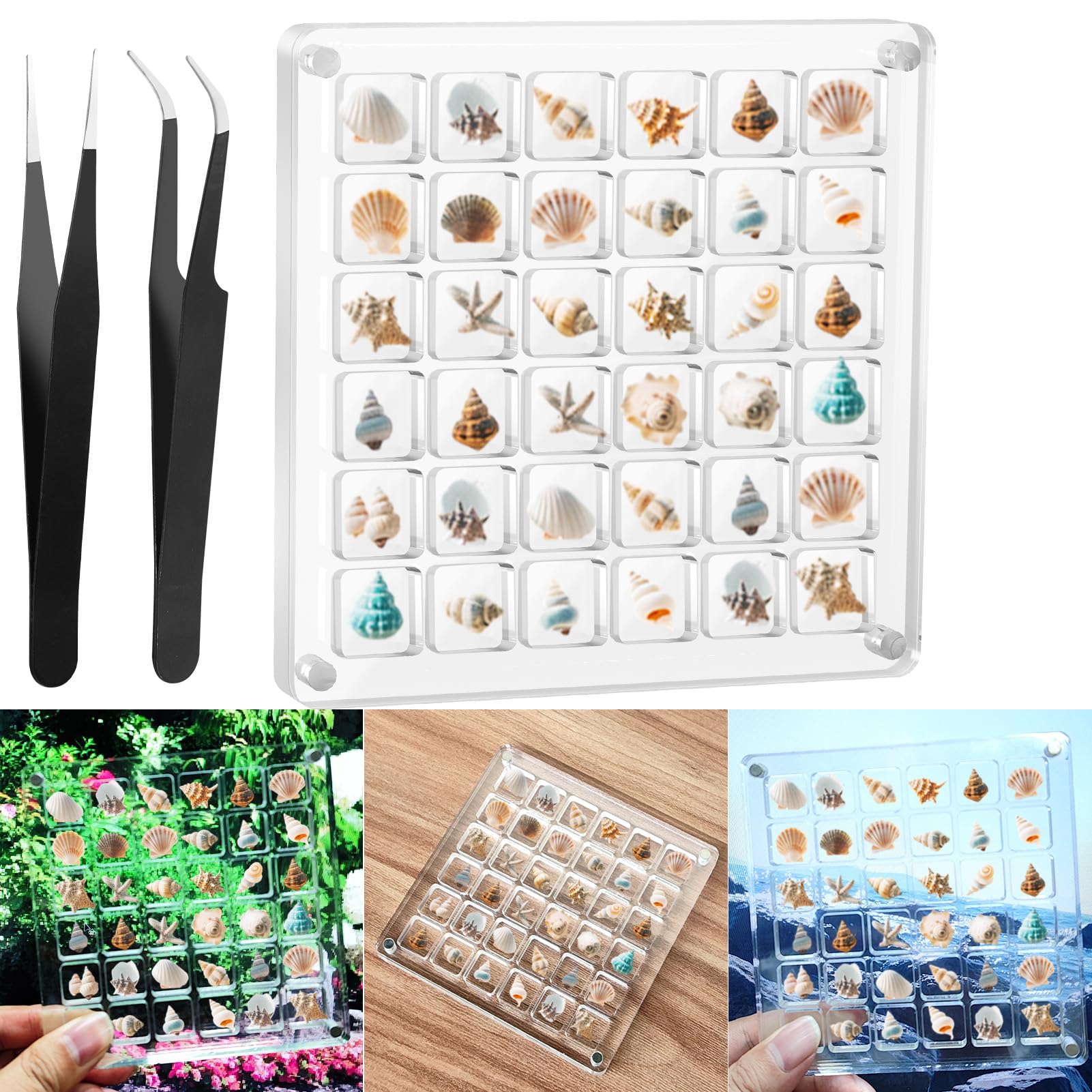 Acrylic Magnetic Seashell Display Box,Clear Sea Shell Holder Display Box,Beach Shelling Collecting Tools,Magnet Storage Organizer Tiny Case for Seashell Diamond Beads (1 Pack-36 Grids)