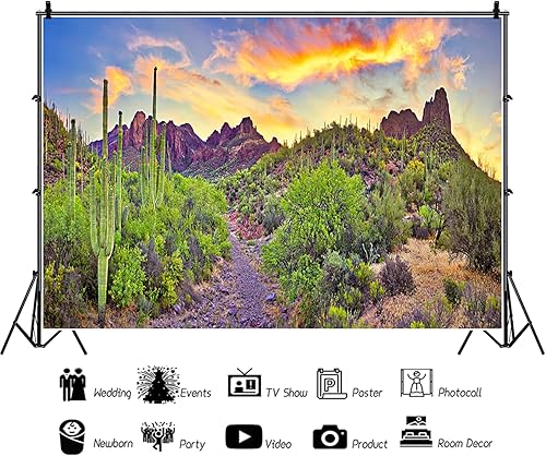 Miniatura 3 de AOFOTO Fondo de cactus del desierto de 7 x 5 pies, decoraciones de fiesta de Arizona Rock Mountain Paisaje Naturaleza de Reptil Habitat Tanque Fondo