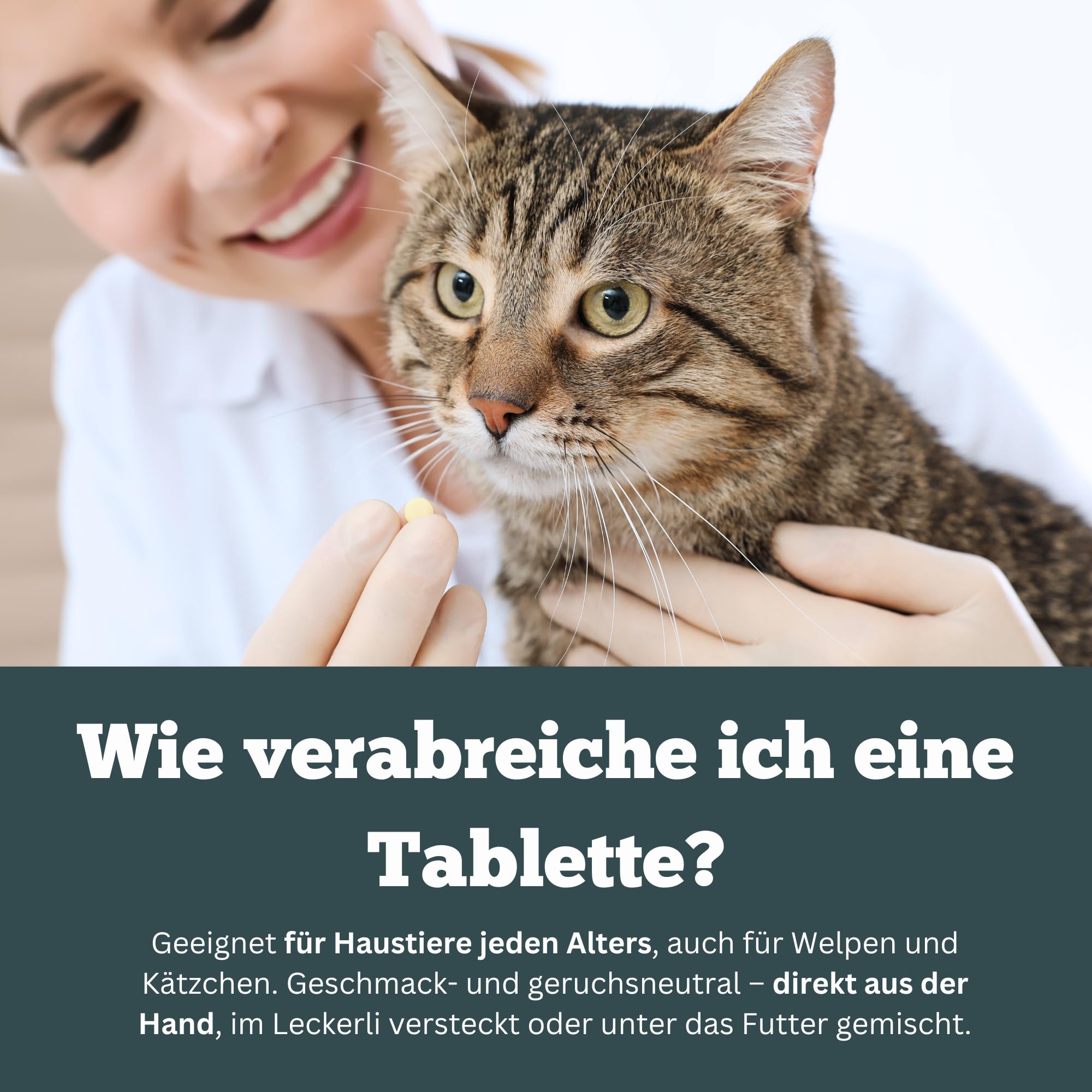 Omniderma - Juckreiz Tabletten bei Haut- & Fellproblemen Katzen, Kleine Hunde, Meerschweinchen & Kaninchen - Natürliche Kräuterformel bei Ekzem & Hautirritationen - 90 Tabletten à 250 mg