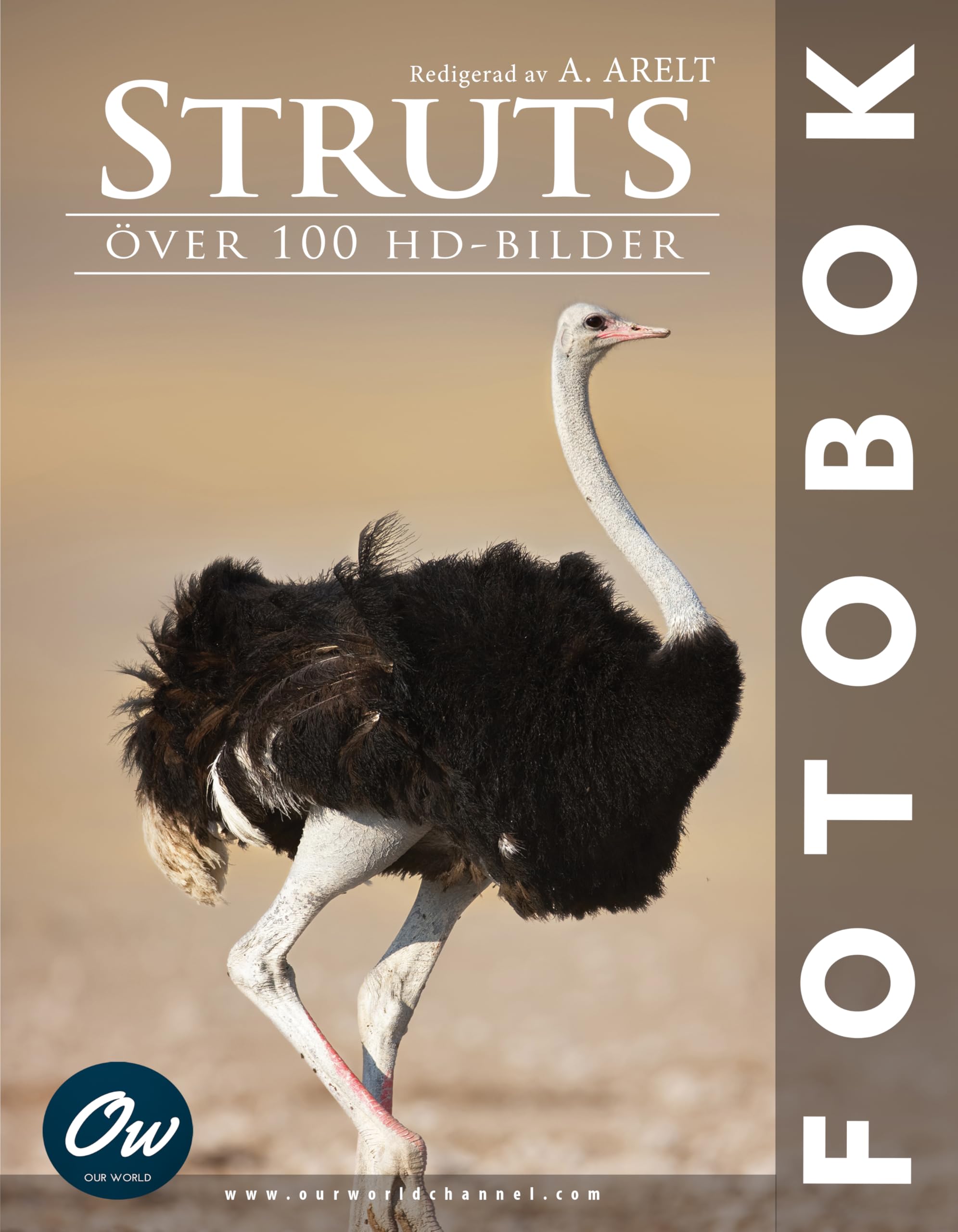 Struts Fotobok suédois album photographie d'art scandinave
