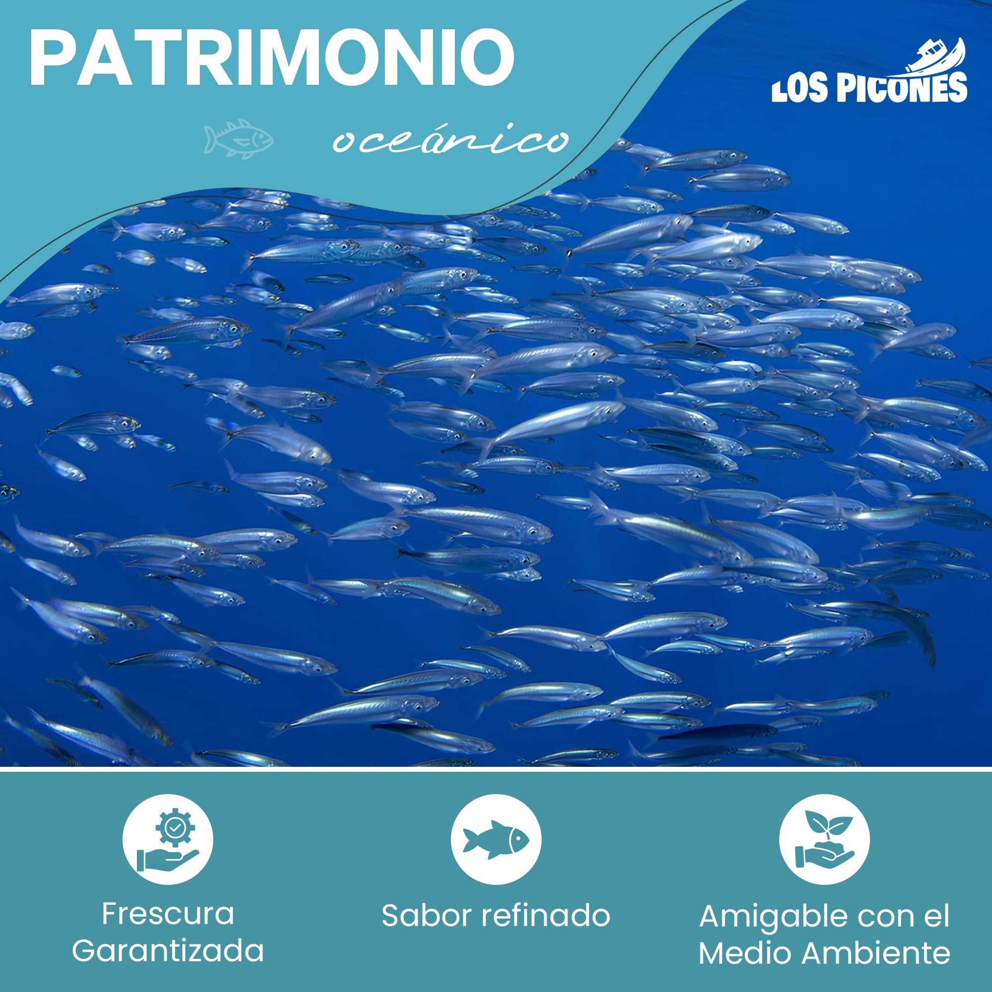 Anchoas Revilla® Anchoas de Santoña en Mantequilla Ecológica I Pack 5 Octavillas (50gr./8-10 lomos) (250gr./40-50 lomos) Anchoas del Cantábrico Gourmet I Conservas y Salazones Gourmet.