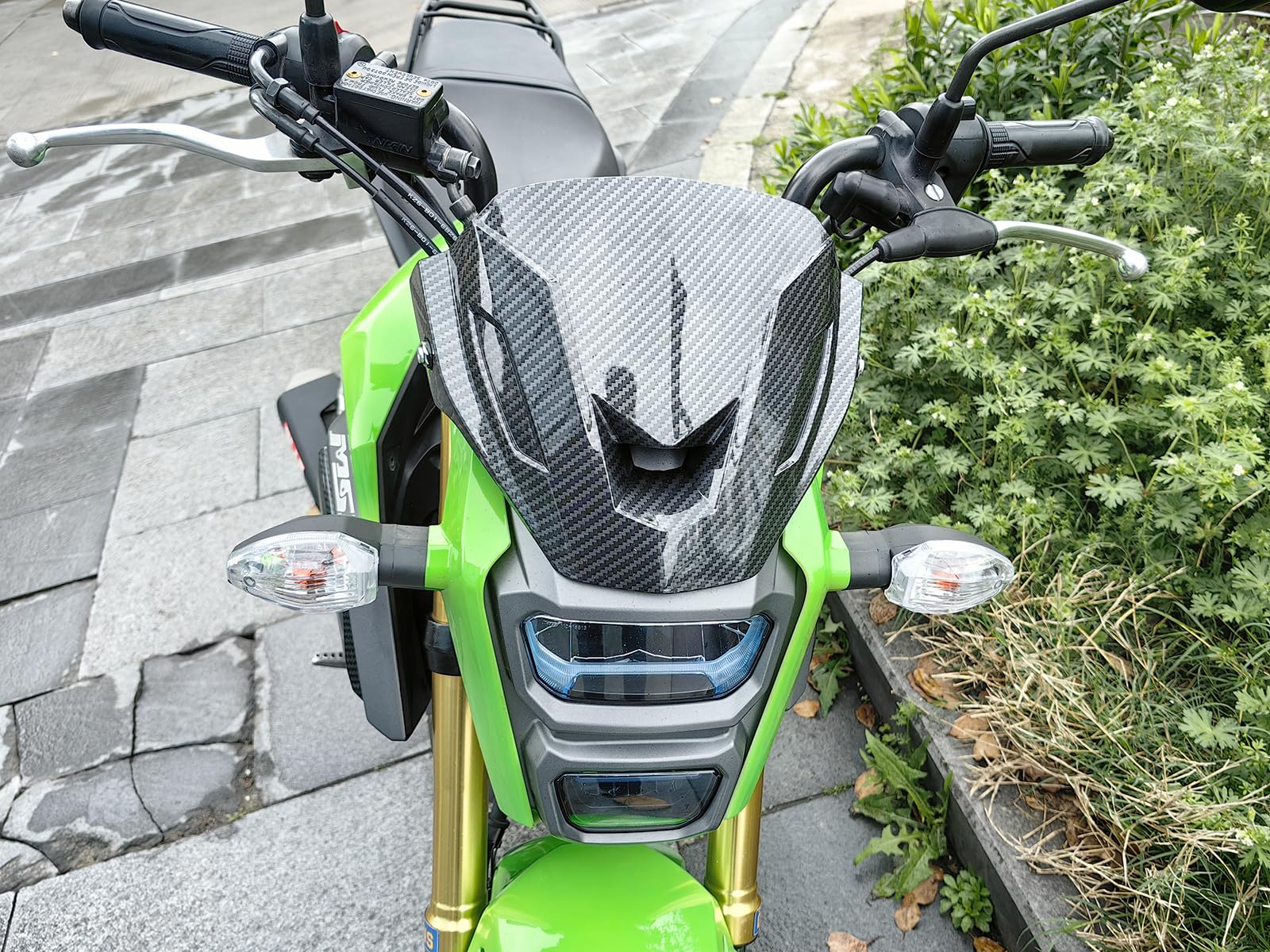 Amazon.com: Minho Motorcycle Carbon Fiber Windshield Fit for Honda 