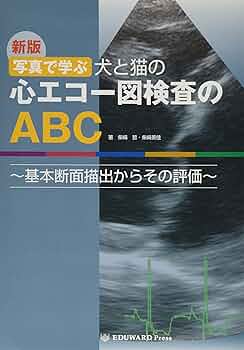 81wik0DyjML._AC_UF350,