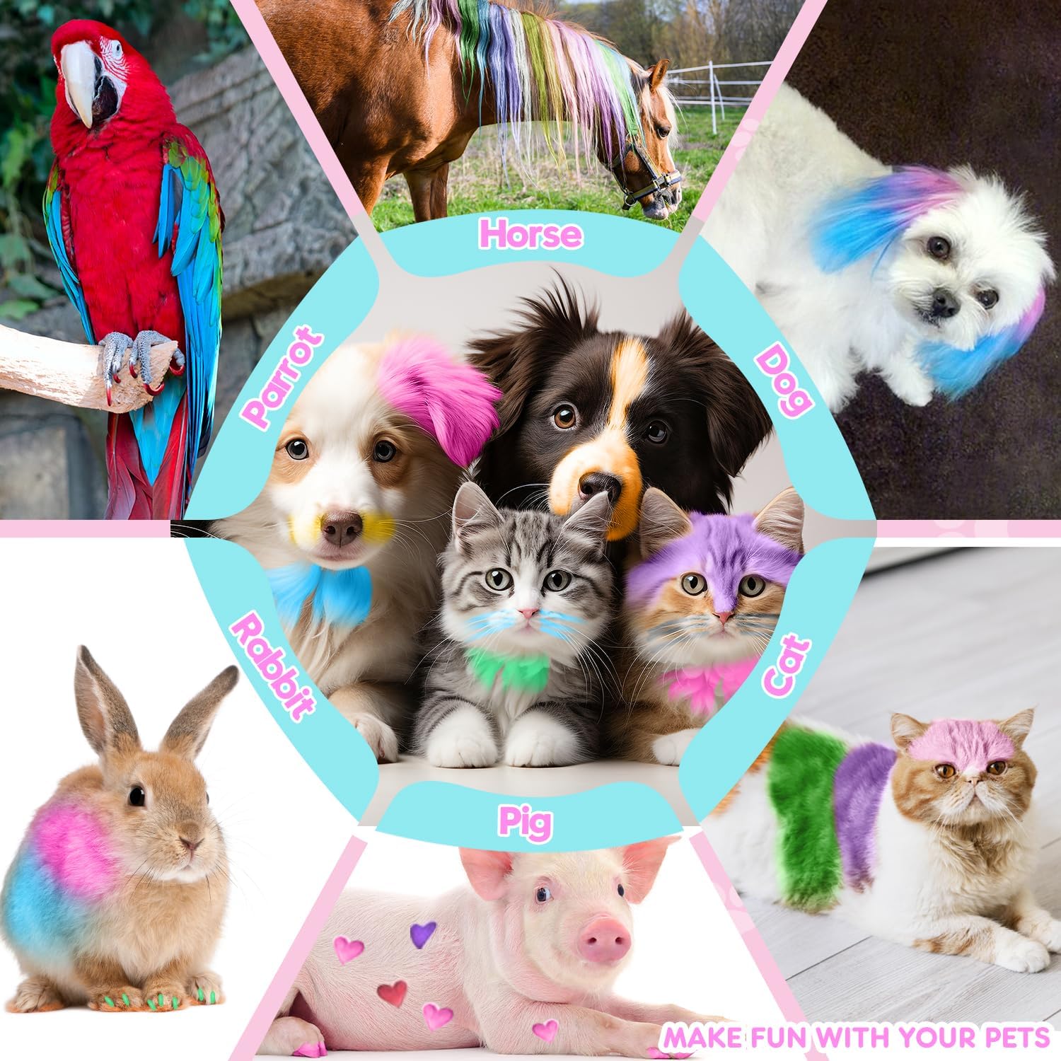 Hair Chalk 12 Colori Tinture per Cani Gatti e Cavalli