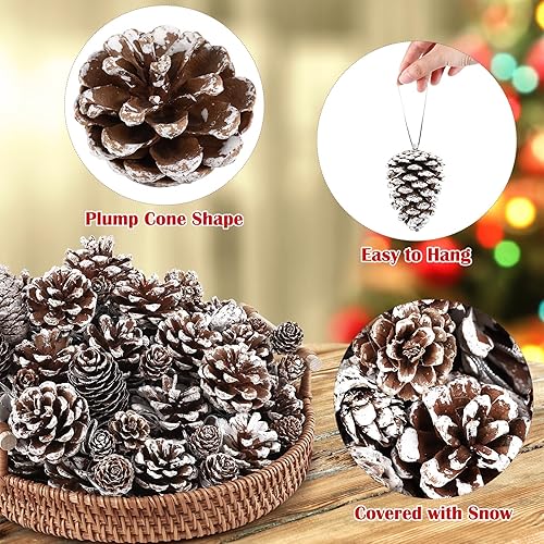 Vista 4 de Fovths 66 Pieces Snow White Christmas Pine Cones Ornaments with String Natural Rustic Pine Cones Bulk Assorted Sizes Xmas Tree Hanging Pinecone Nieve