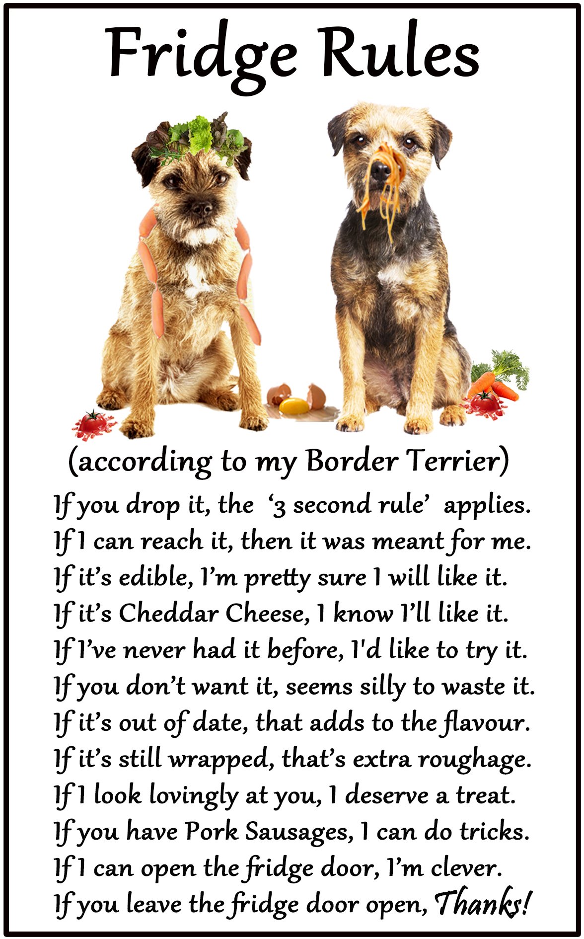 Fridge Magnets Multicolor Border Terrier Gift - Fridge Rules - Large Fun Flexible Fridge Magnet- Size 16Cms X 10 Cms (Approx. 6" X4")