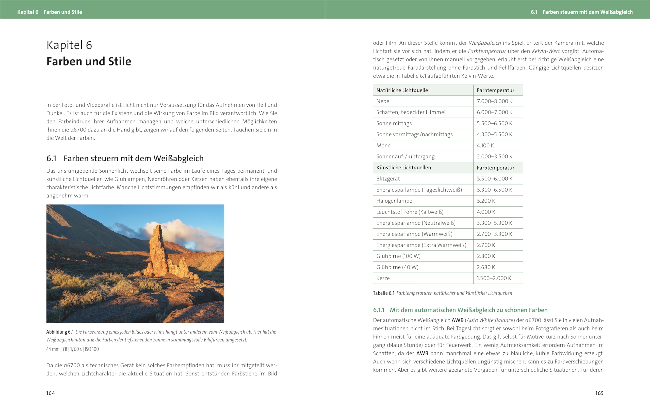 Sony Alpha 6700: Das Handbuch zur Kamera: verständlich und praxisnah. Mit vielen Beispielen und Profitipps
