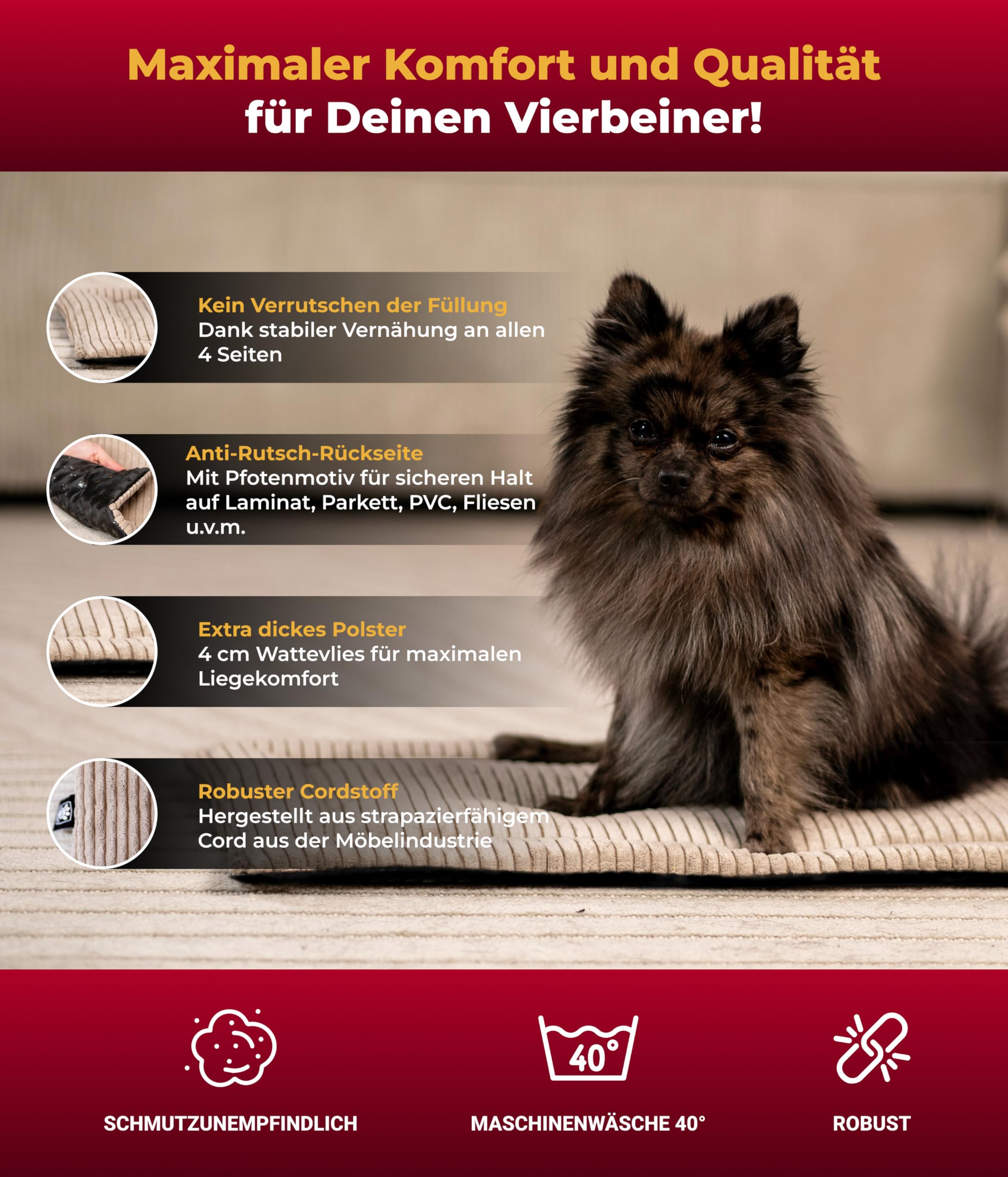 Hundedecke Cord mit Füllung S (55x75 cm) – Anti-Rutsch-Funktion – Kuscheldecke für Hunde – Gemütlicher Ruheplatz - Beige, Made in DE