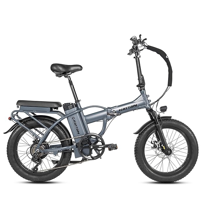 Buy Rattan 750W Electric Bike for Adults Electric Folding Bikes 20''x4