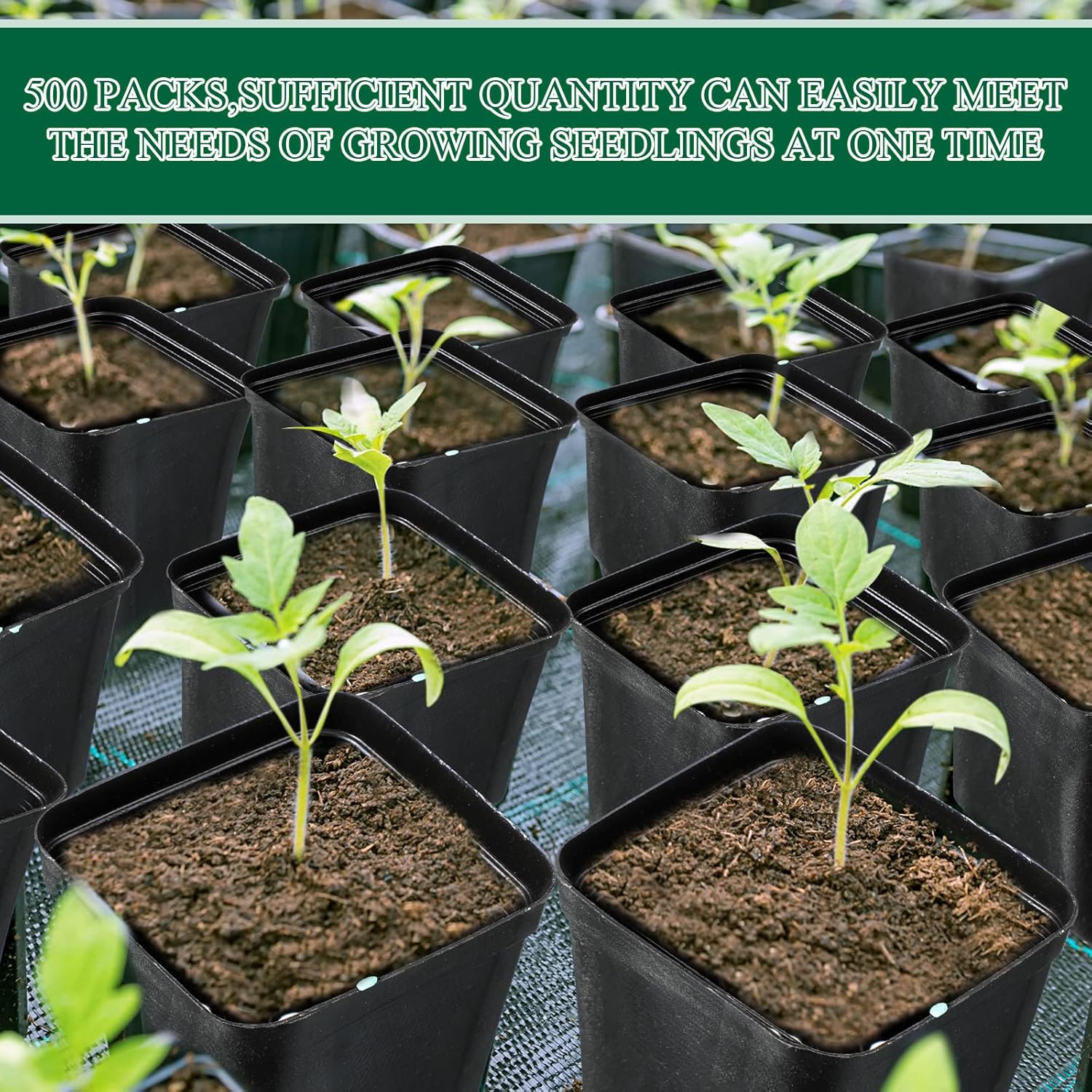 Nuanchu 500 Pack 2 Inch Square Nursery Pots, Small Plastic Seedling Pots with Drainage Holes, Mini Planting Planters for Garden Outdoor Indoor Flower Succulent Vegetable Starting Seedlings, Black - Image 3