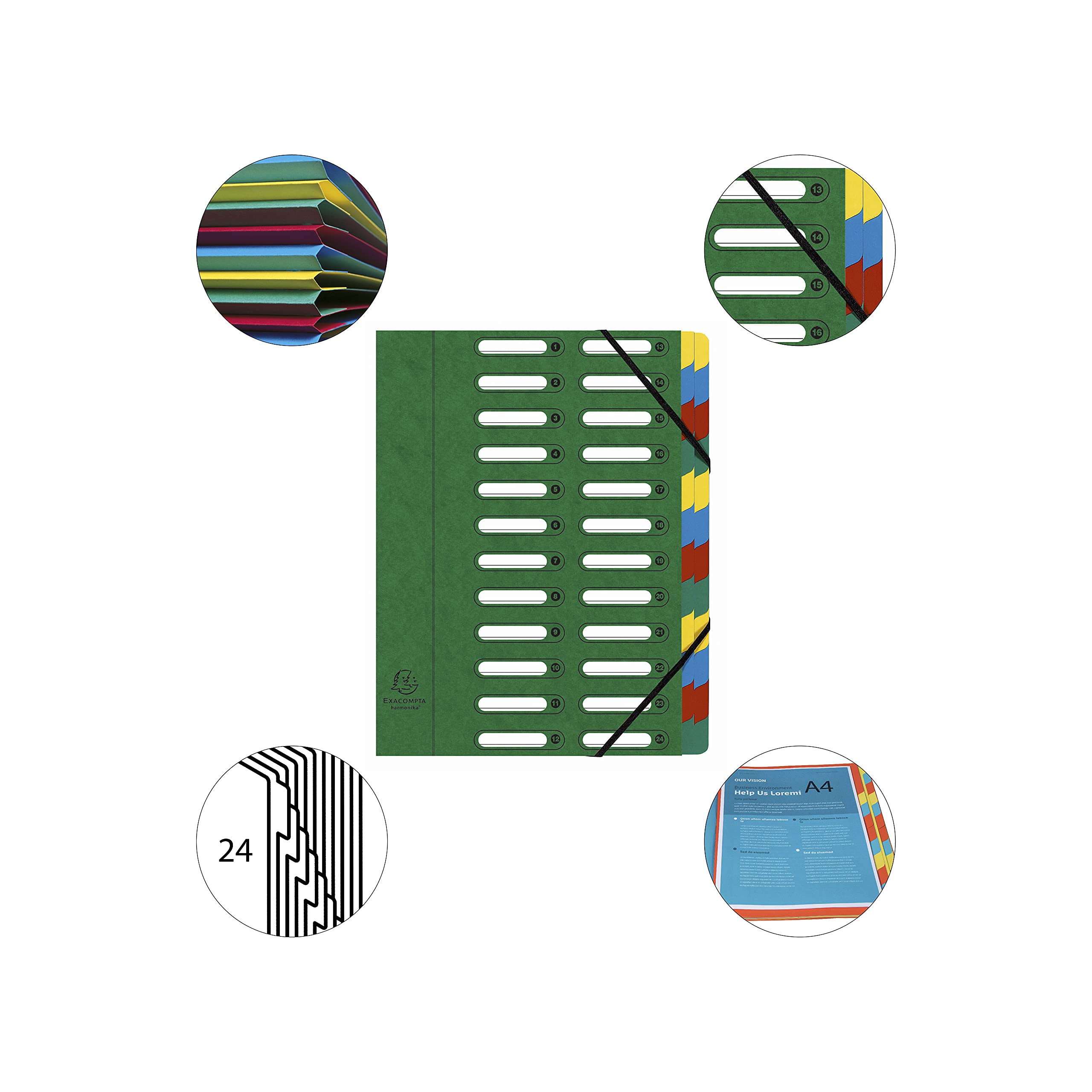 Exacompta - Réf. 55243E - 1 trieur HARMONIKA - avec élastiques et fenêtres découpées - couverture en carte lustrée - dos extensible - 24 compartiments - pour A4 - dim 24,5 x 32 cm - couleur vert