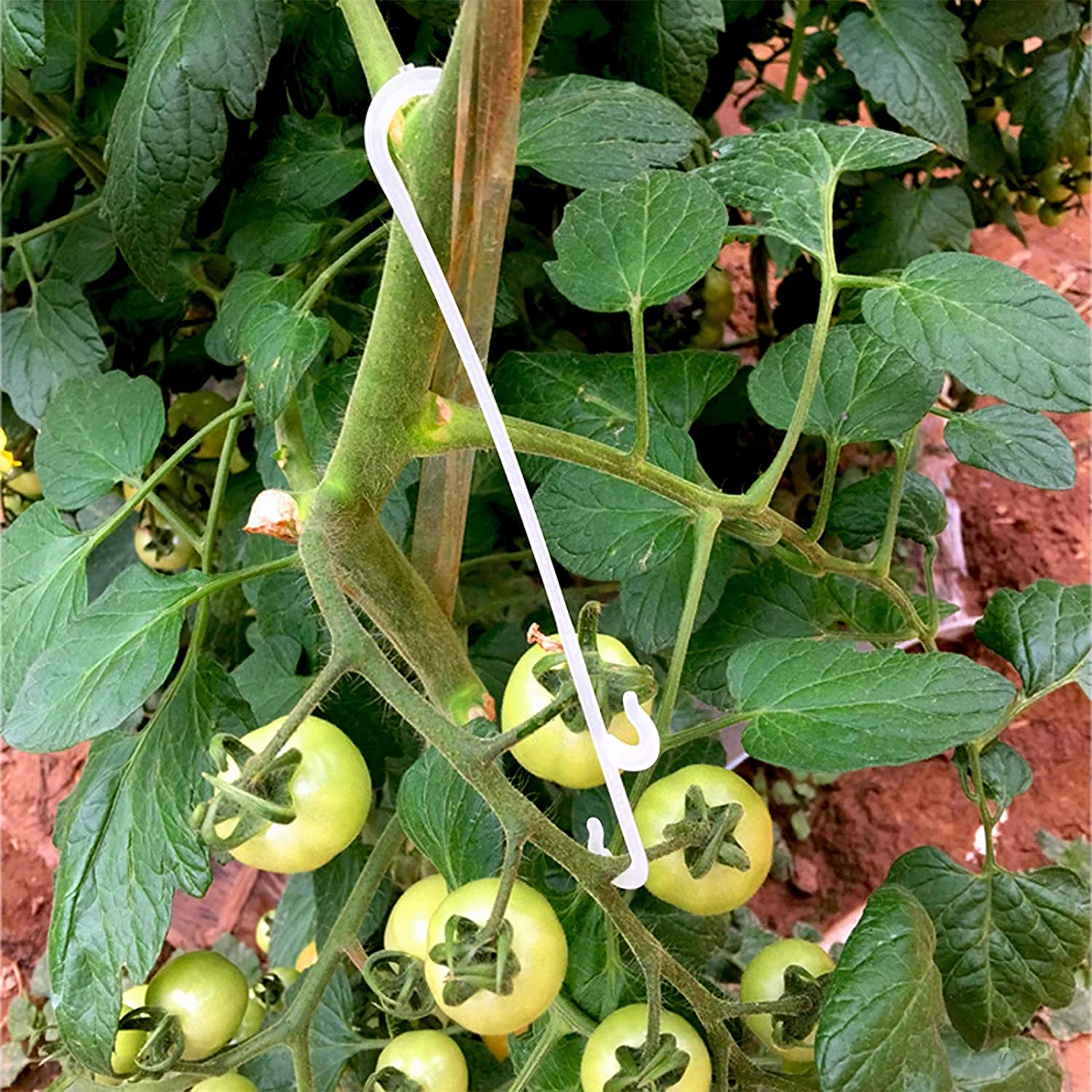100 Stück Pflanzenclips Für Garten & Balkon – Wiederverwendbare Klammern Für Tomaten, Gurken, Gemüse & Ranken (ca. 4x3x1 Cm, PP-Kunststoff)