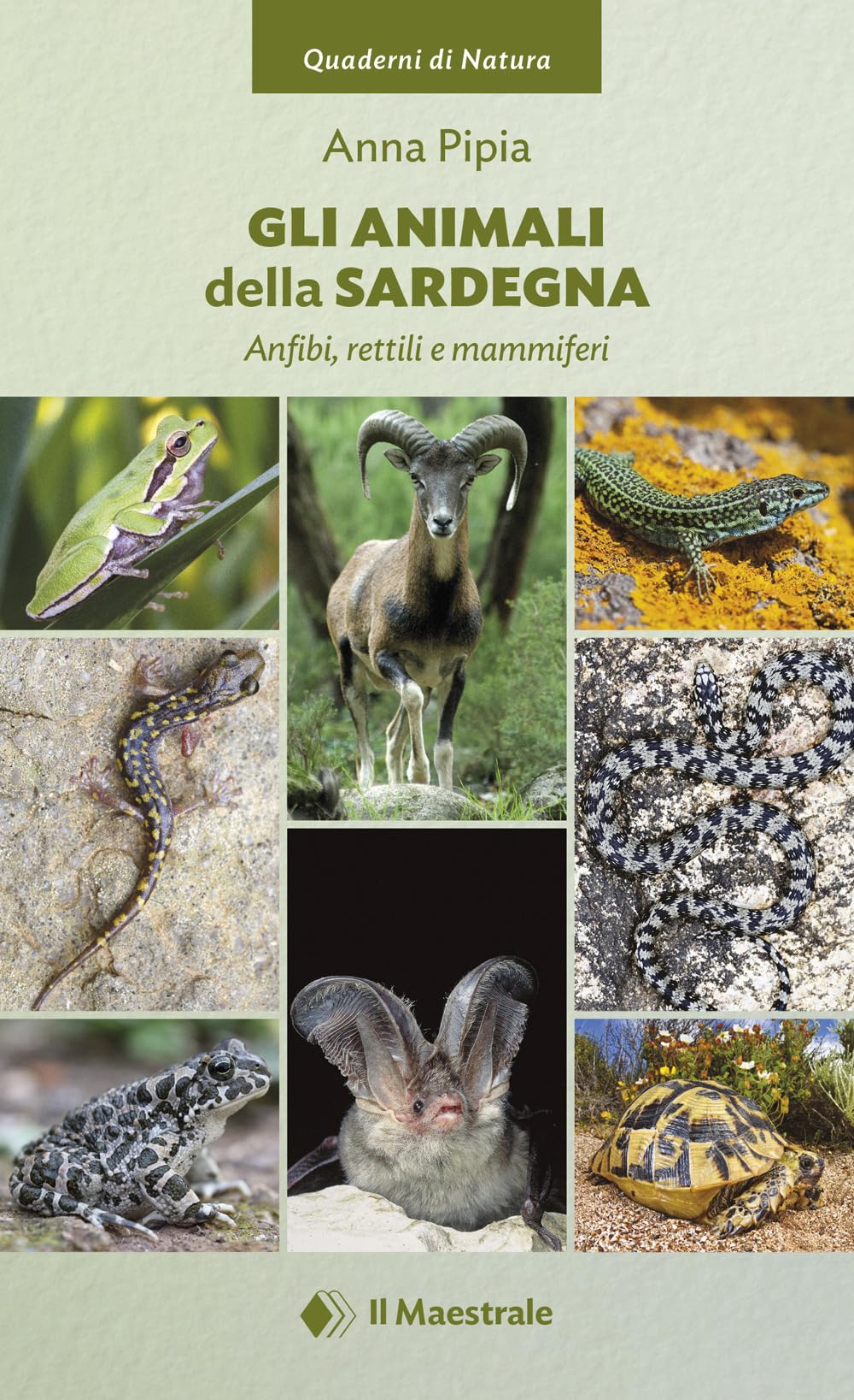 Gli Animali Della Sardegna - 4
