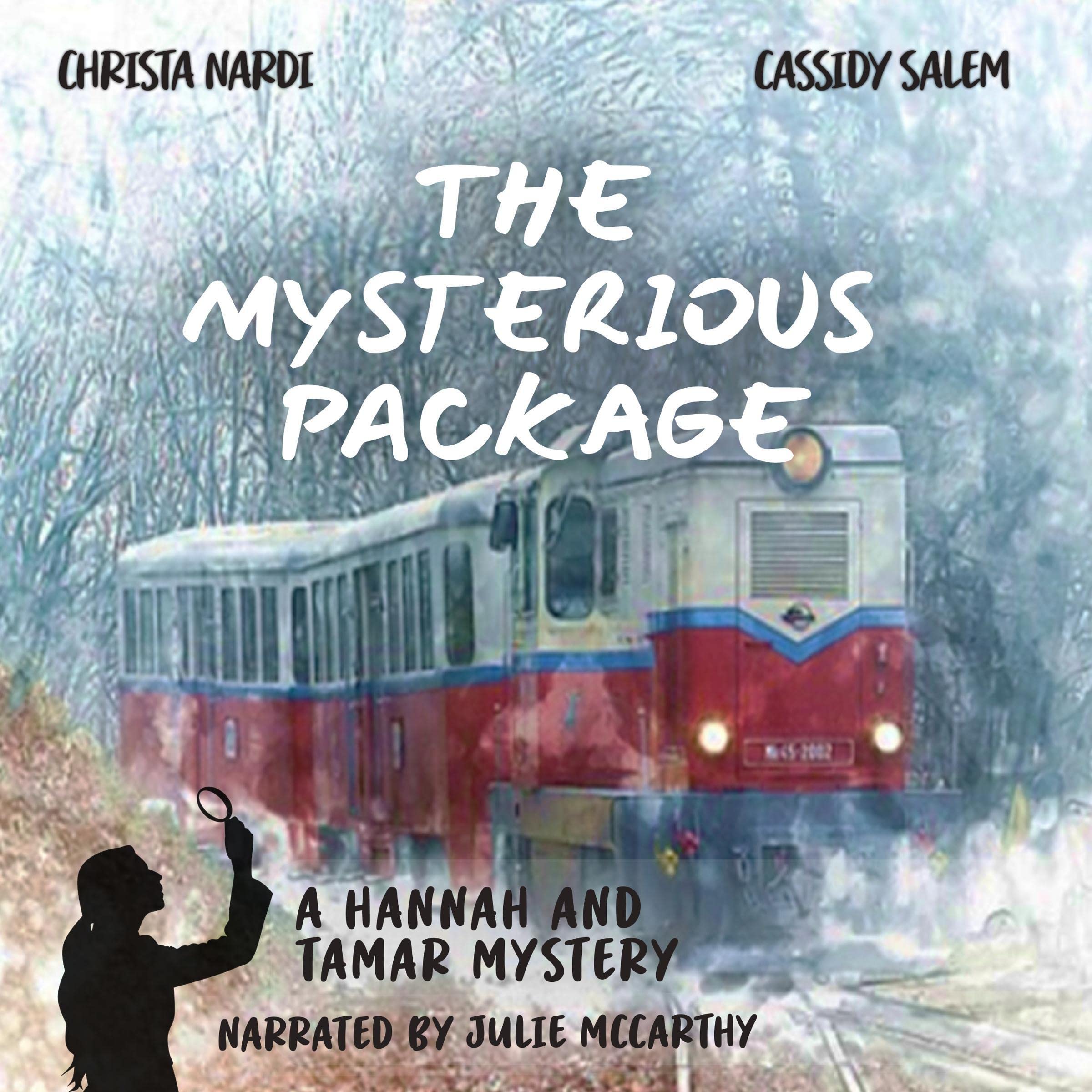 Cover art for The Mysterious Package