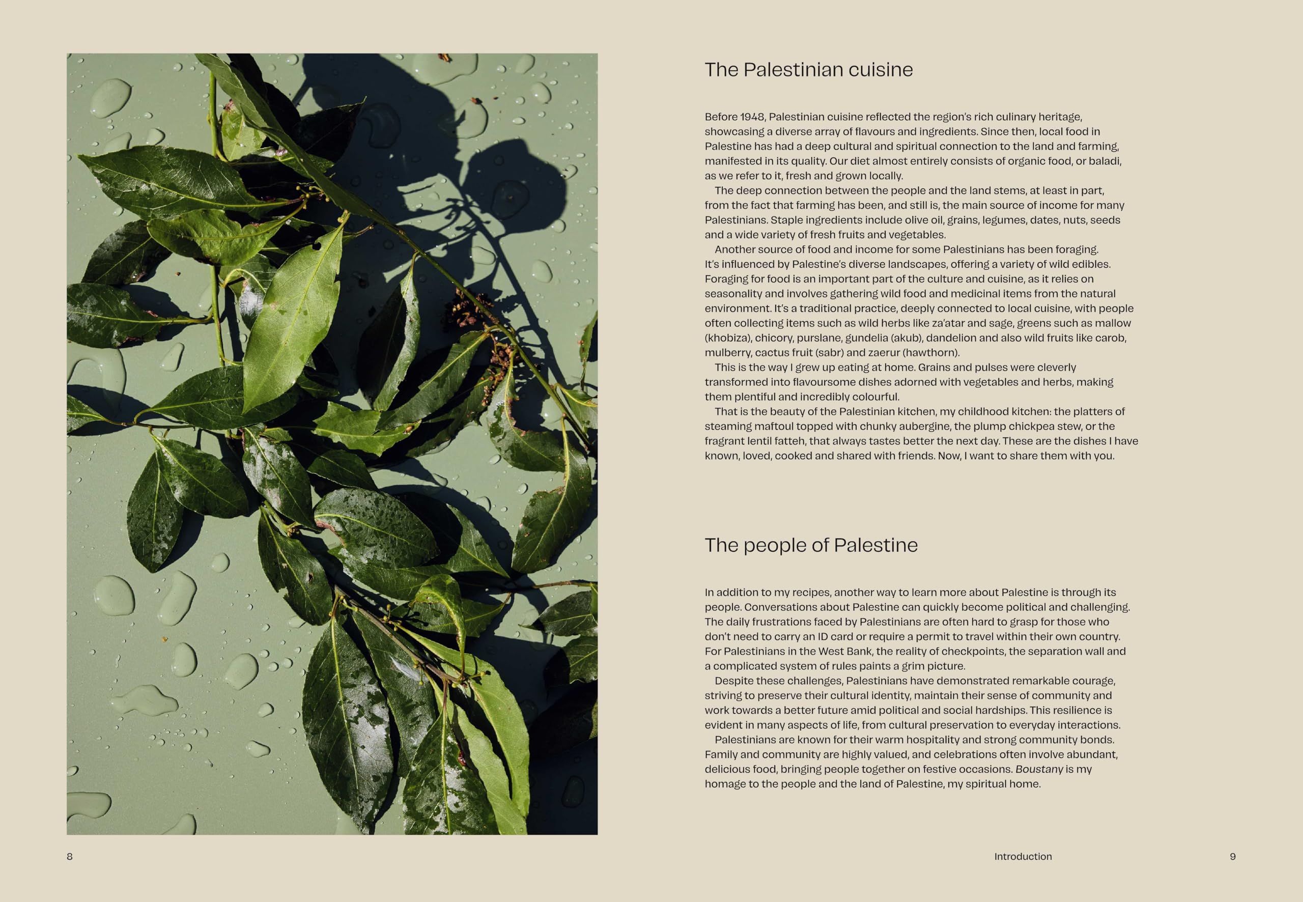 Boustany: A celebration of vegetables from my Palestine: The Sunday Times Bestseller