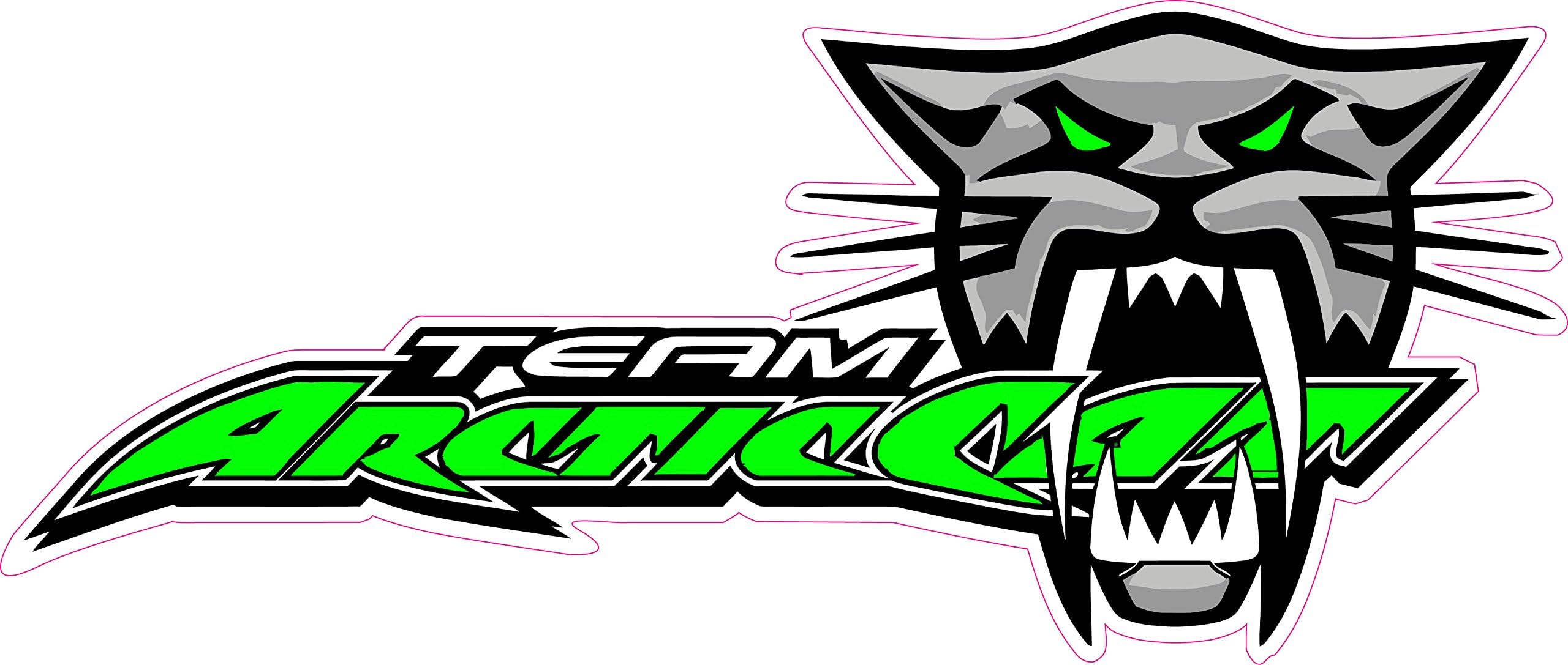 Team Arctic Cat Large 12" X 5.3" Decal