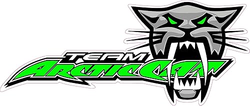 Team Arctic Cat - Calcomanía grande de 12 x 5.3 pulgadas