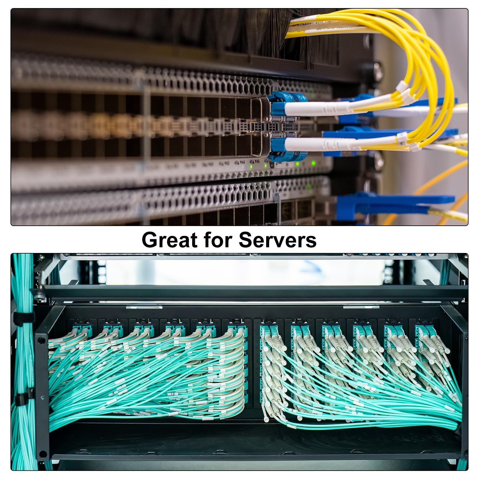 QUARKZMAN 2Pcs 1U Panneau de Brassage naturel 24 Ports, Baie de Brassage Montable en Rack 19 Pouces et Murale pour Serveurs Réseau, Services Multi-Terminaux, avec Gestion des Câbles