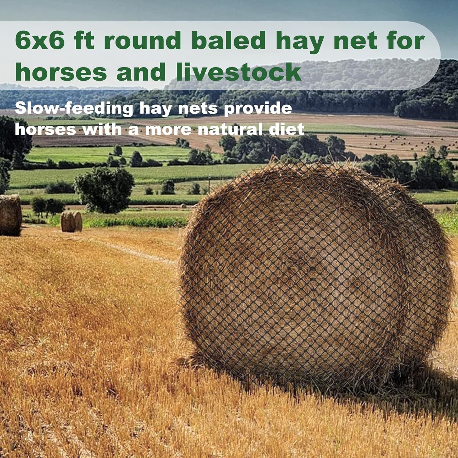 Red de heno de alimentación lenta para caballos, comedero redondo duradero sin nudos con agujeros de 2 pulgadas, red de heno resistente para caballos, ponis, burros, ganado