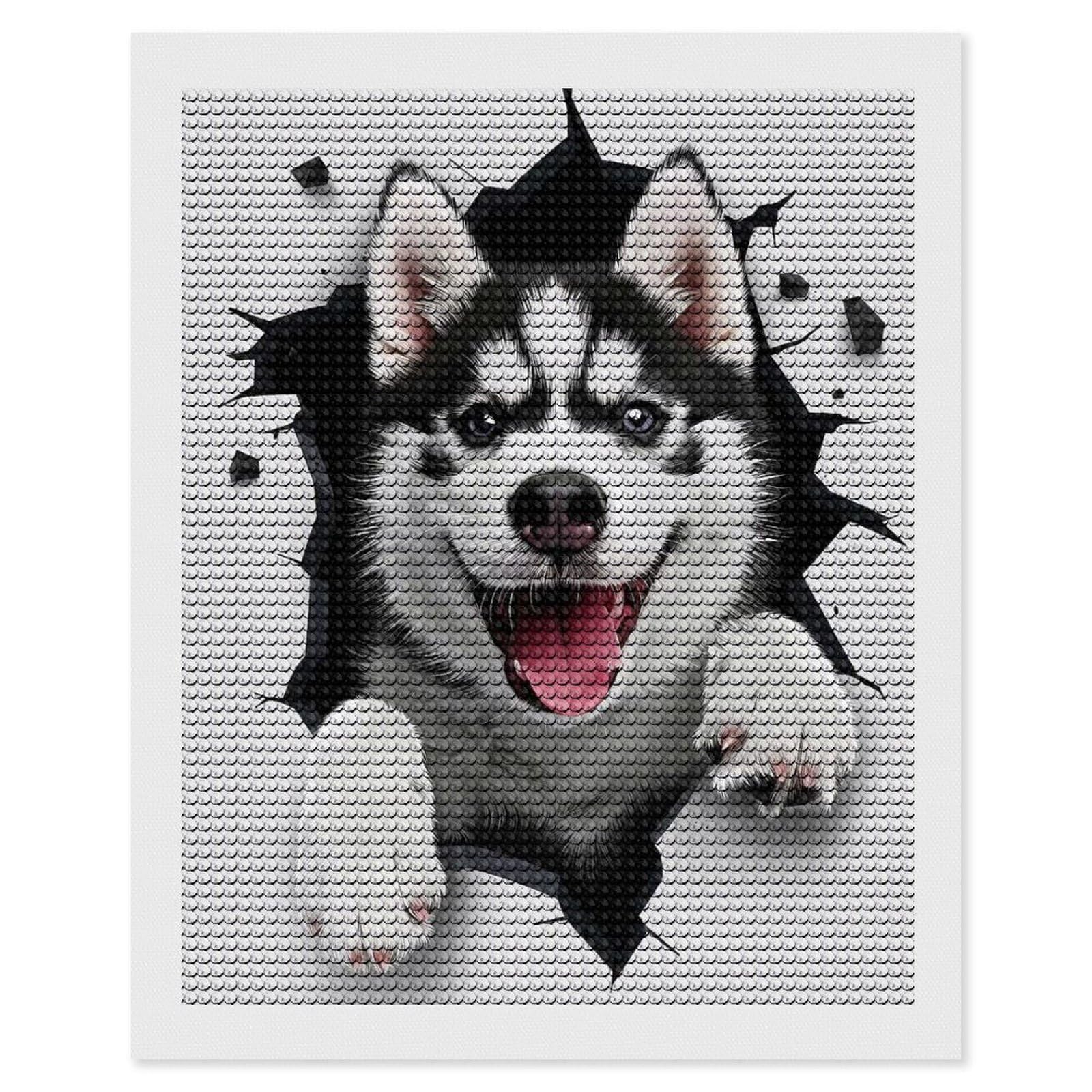Junmoney Siberian Husky Dog Diamond Painting Canvas Set 16"x20", Full Kit Included, Calming Craft to Unwind, Farmhouse Decor, Christmas Gift