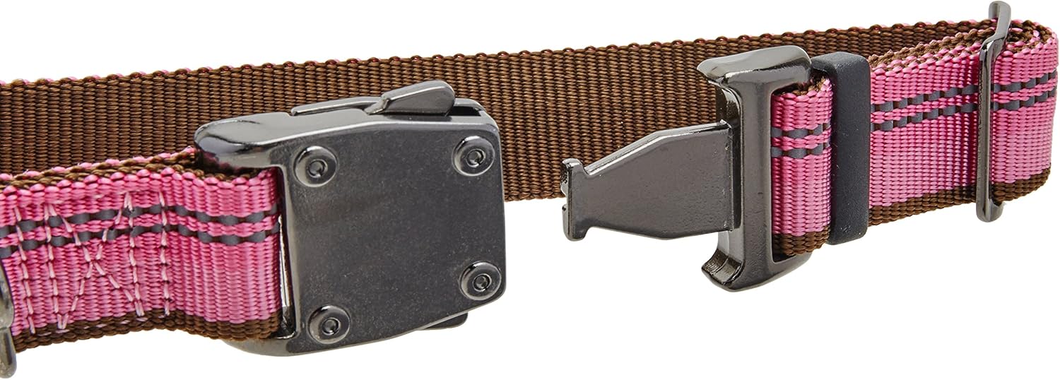 k9 explorer collar amazon