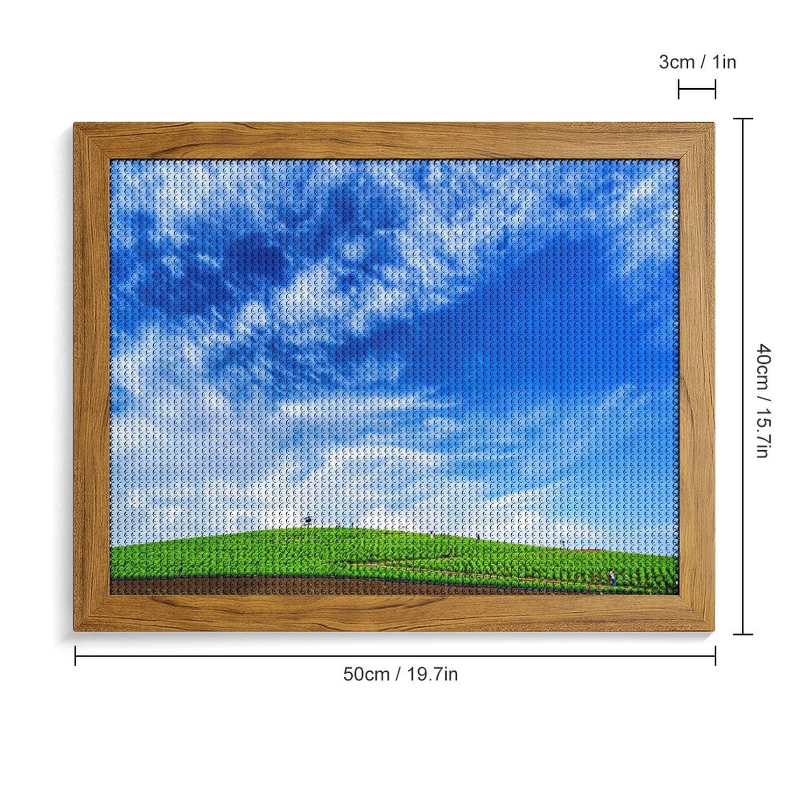 Amazon | ダイヤモンドアート 茨城県 夏空コキア 国立ひたち海浜公園