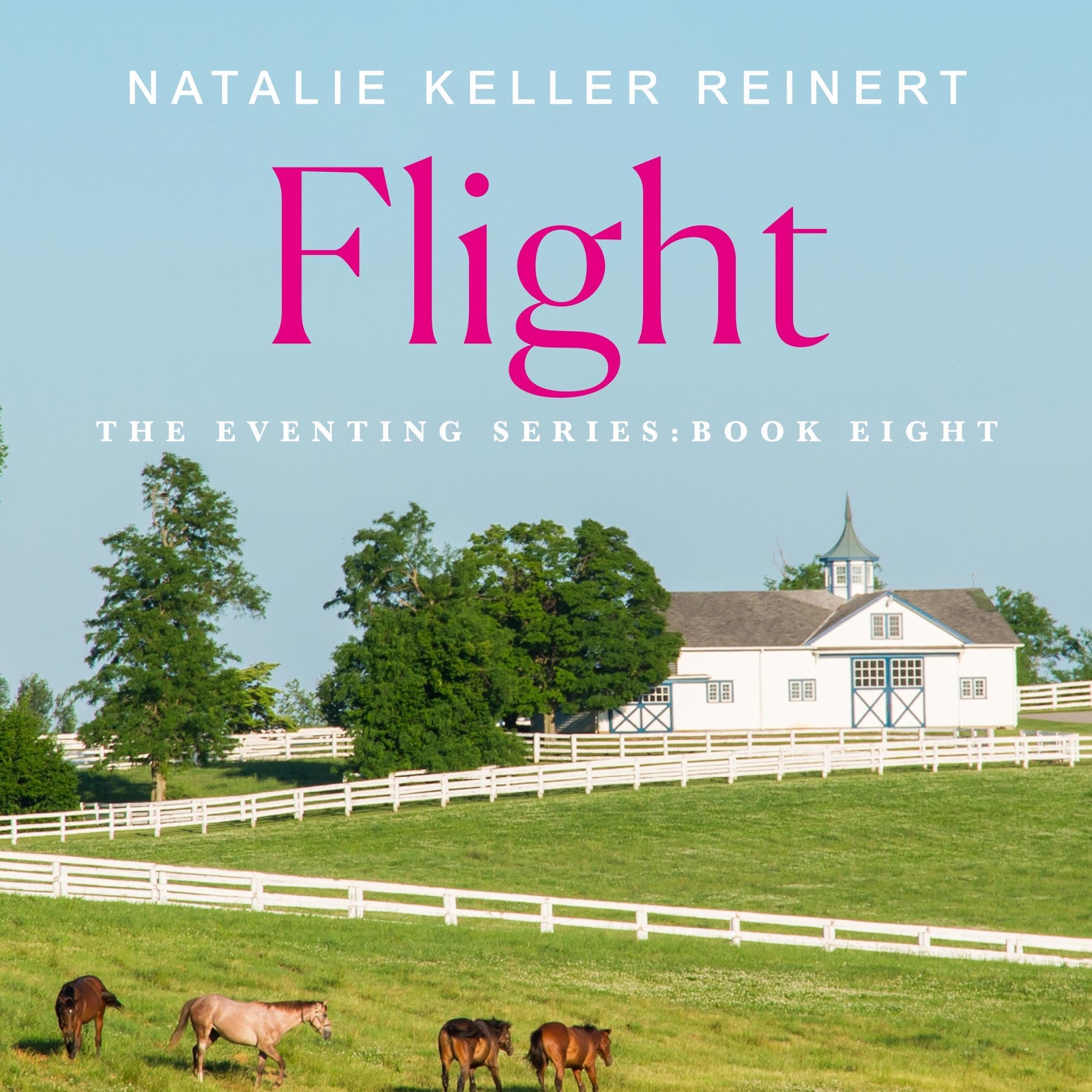 Cover art for Flight