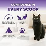 Arm & Hammer Litter Cat, Clay Multi-Cat, Nettoyant sans effort, 7-Day Contrôle de l'odeur, sans poussière, faible trafic, rainures à la main, puissance de la soude au four, 6.4 kg