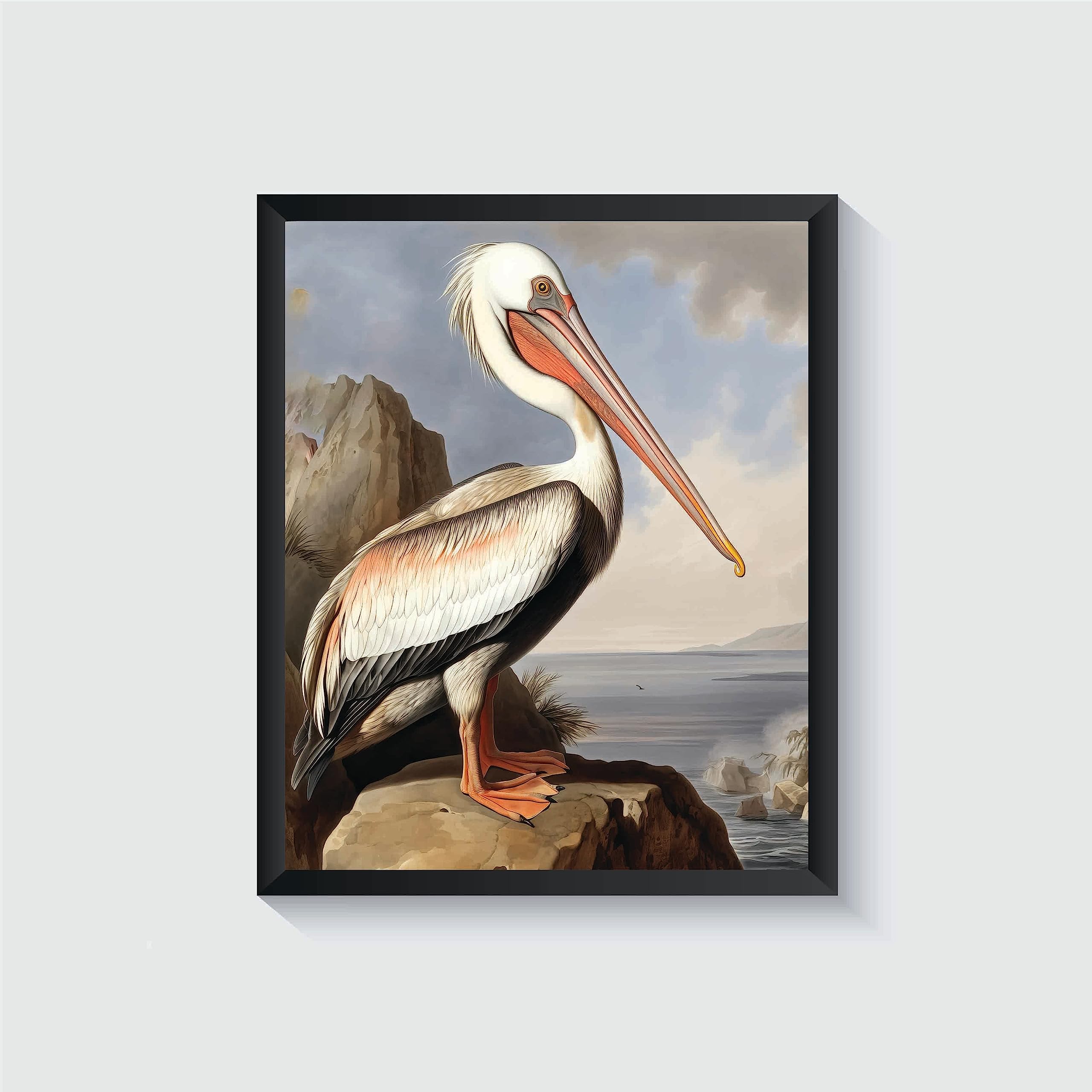 Amazon.com: Pelican Poster Art Print Retro Vintage Bird Wall Art Poster ...