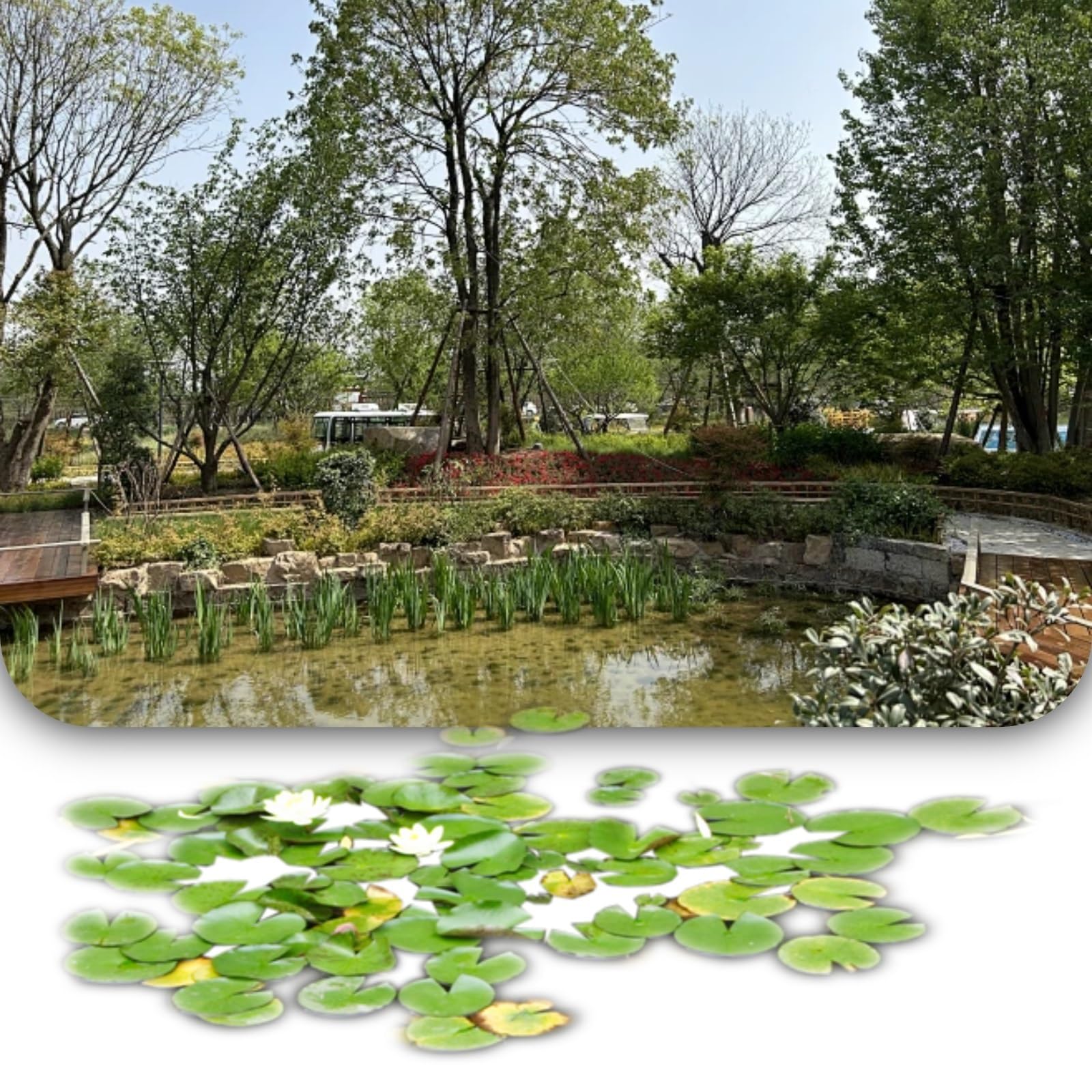 Revestimiento Negro de Primera Calidad para estanques: Membrana Flexible e Impermeable (8x5 Metros) Apta para estanques de Peces y Piscinas, y soluciones de paisajismo para Jardines resisten